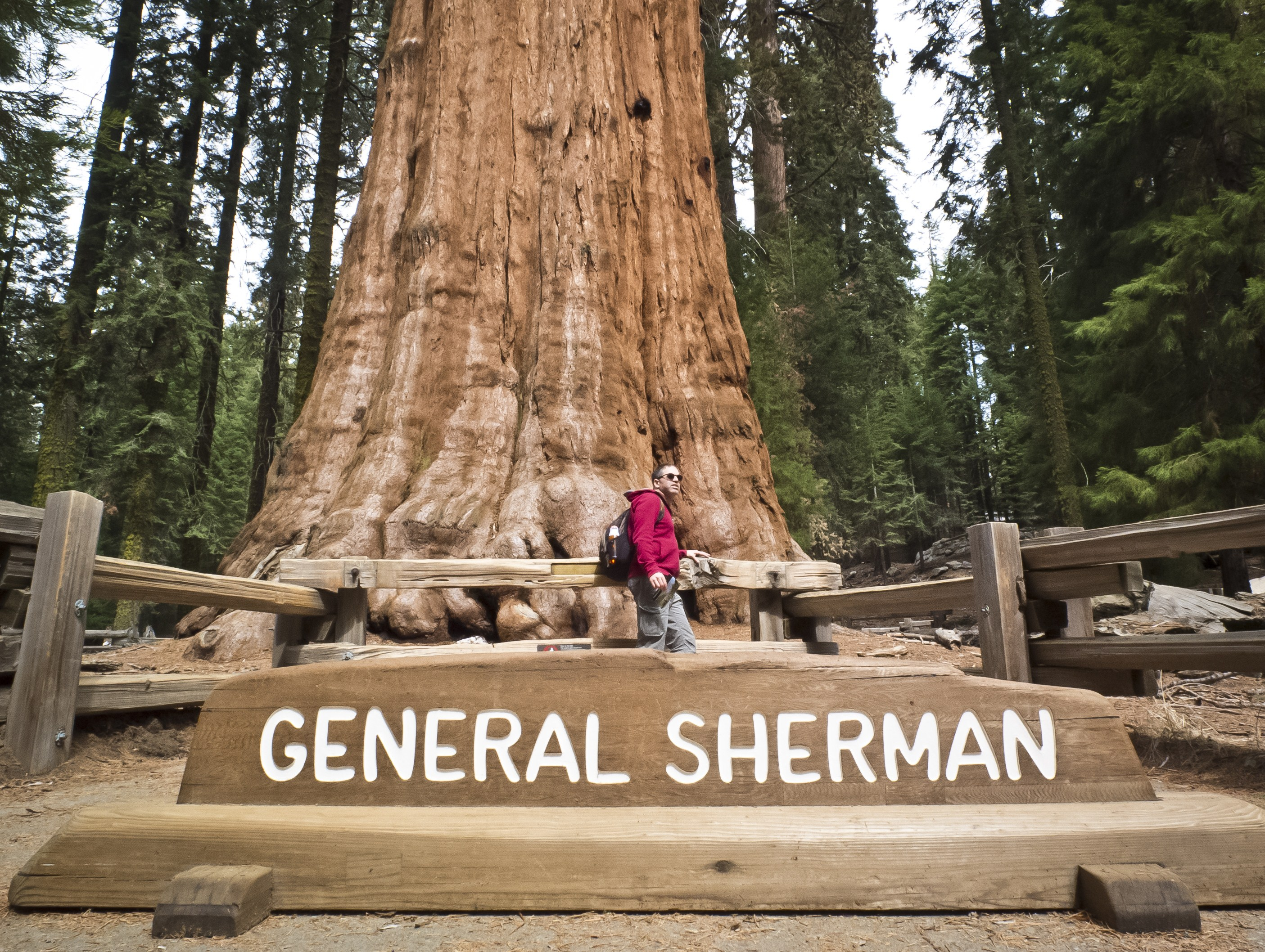 2810x2116 Sequoia National Park: Come for trees, stay for history | CNN Travel