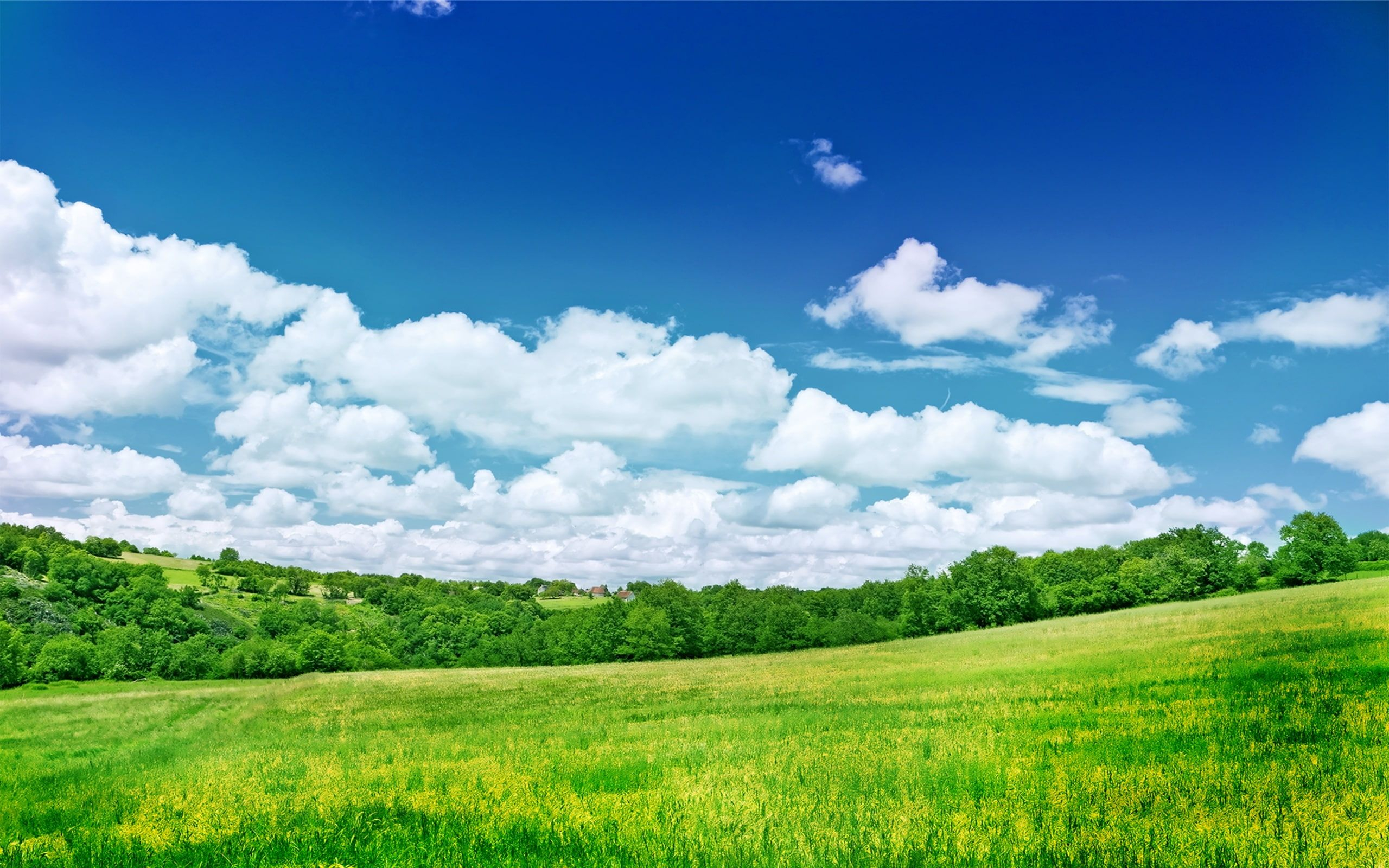 2560x1600 nature #landscape #greenery #field #clouds #sky #2K #wallpaper #hdwallpaper #desktop | Beautiful nature wallpaper hd, Scenery background, Nature wallpaper