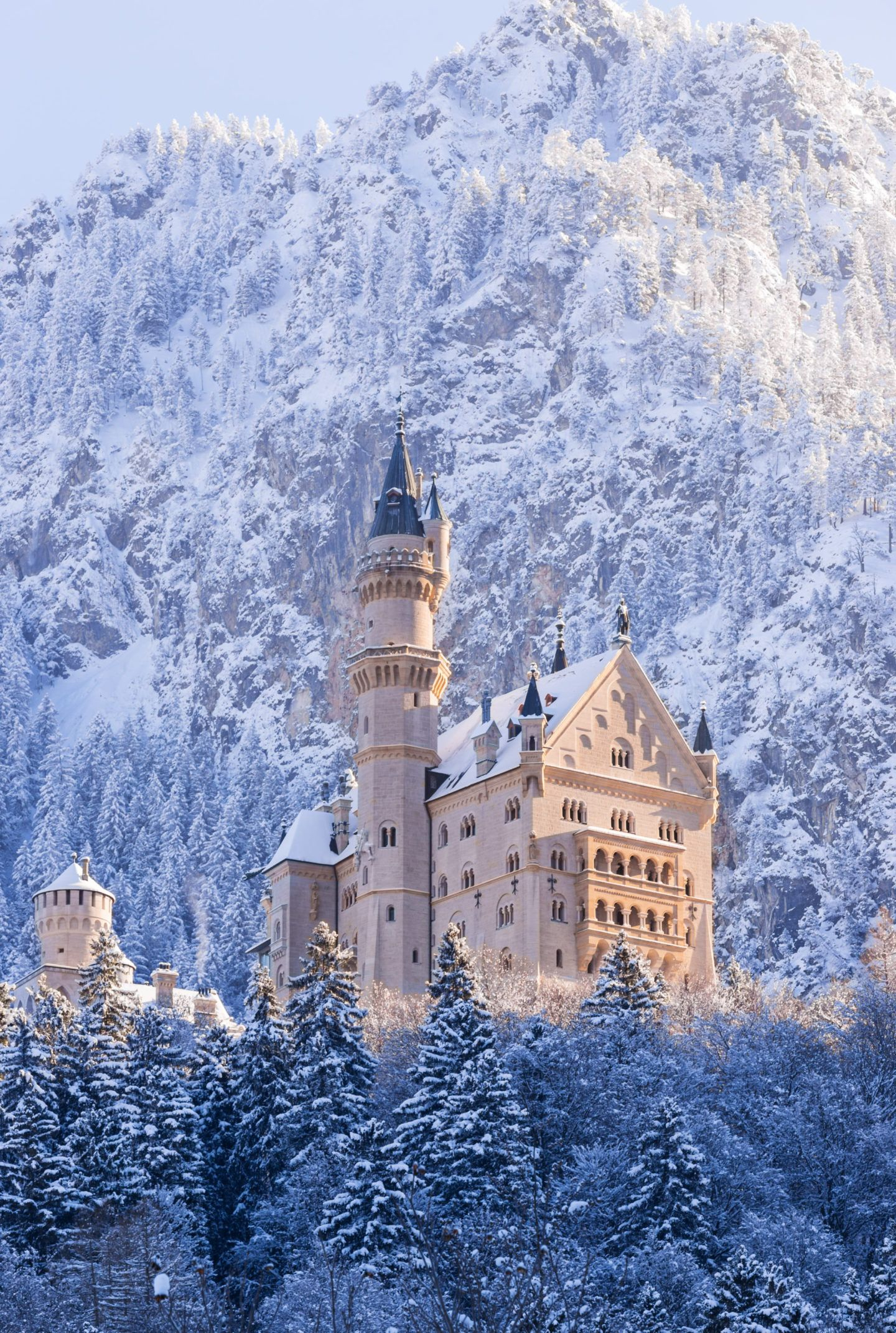 1440x2142 Neuschwanstein Castle in Winter #Neuschwanstein | Castle aesthetic, Neuschwanstein castle, Beautiful castles