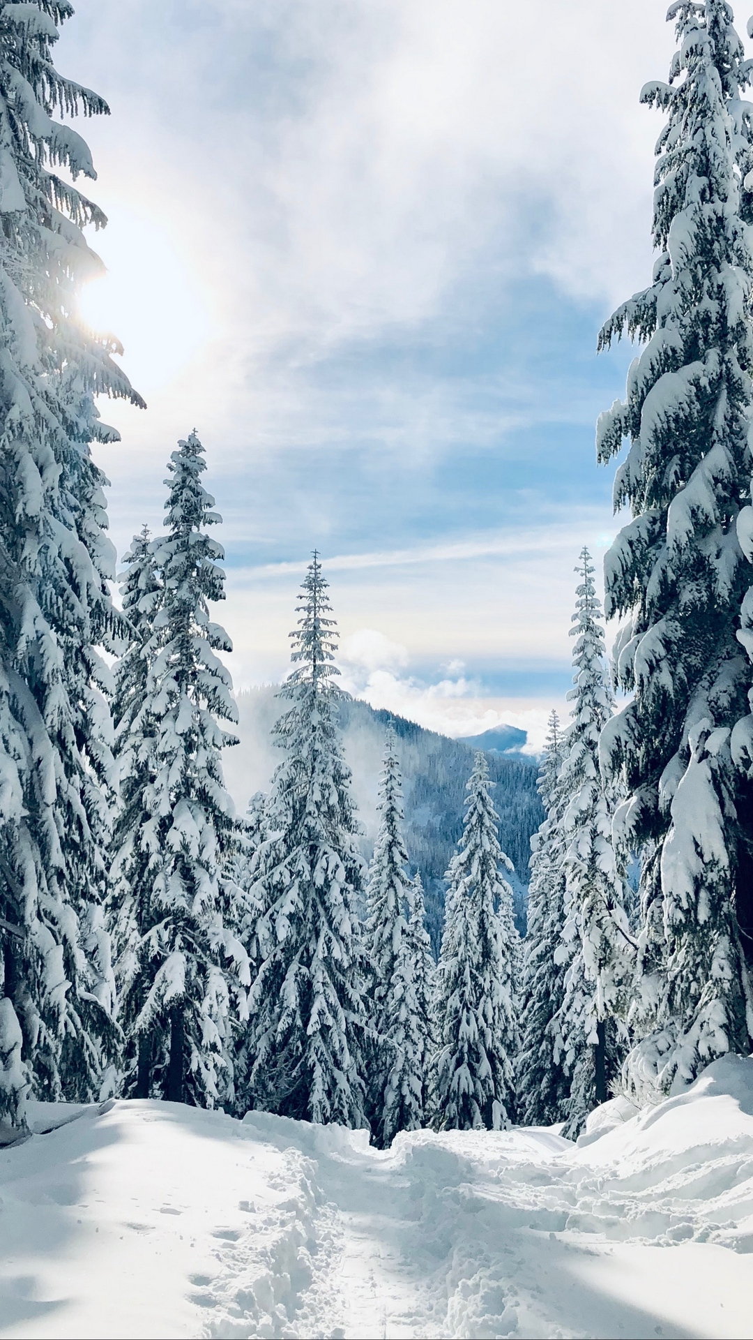 1080x1920 Forest Winter Snow Wallpaper [