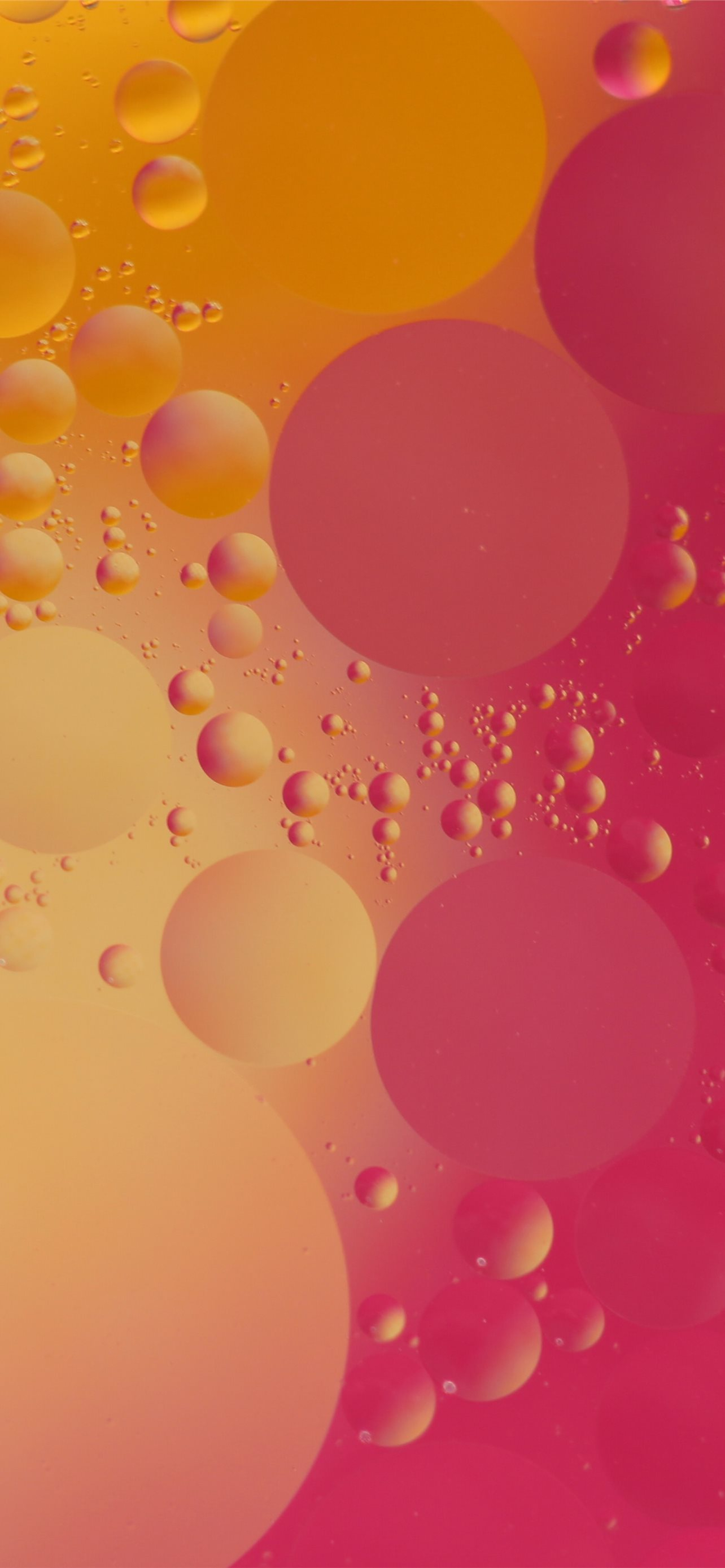 1284x2778 pink and orange bubble digital wallpaper iPhone Wallpapers Free Download