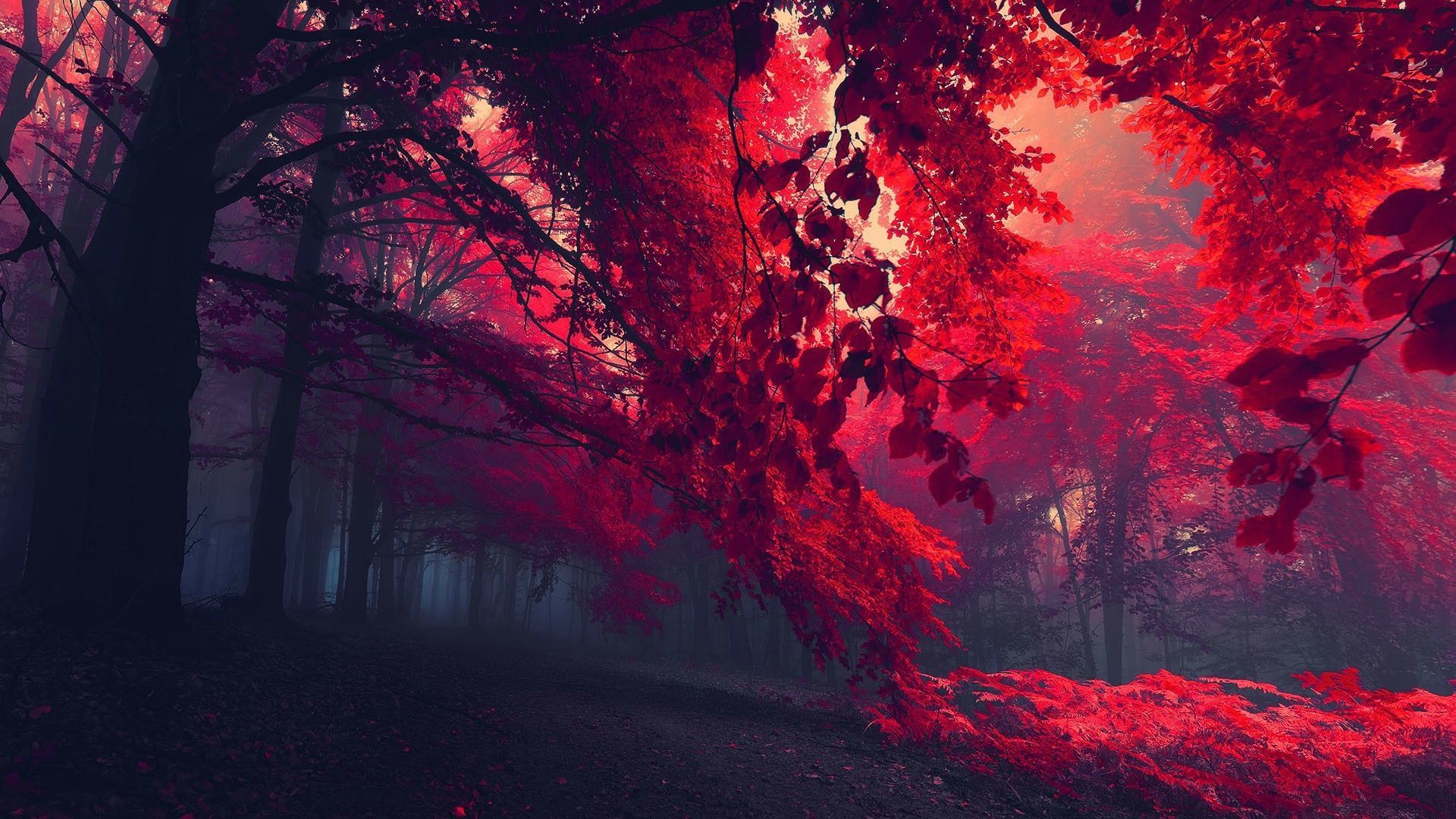 1920x1080 Crimson Red Wallpapers Top Free Crimson Red Backgrounds