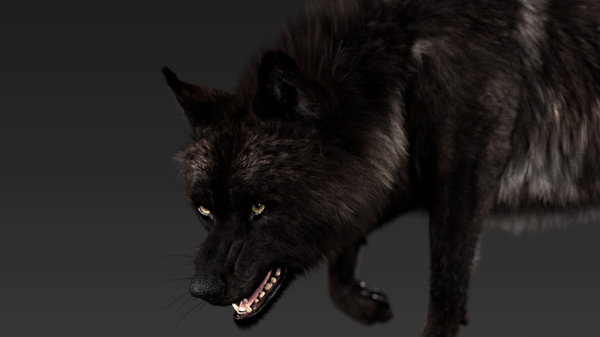 1920x1080 Stynsour Black Timber Wolf (Fur) Rigged