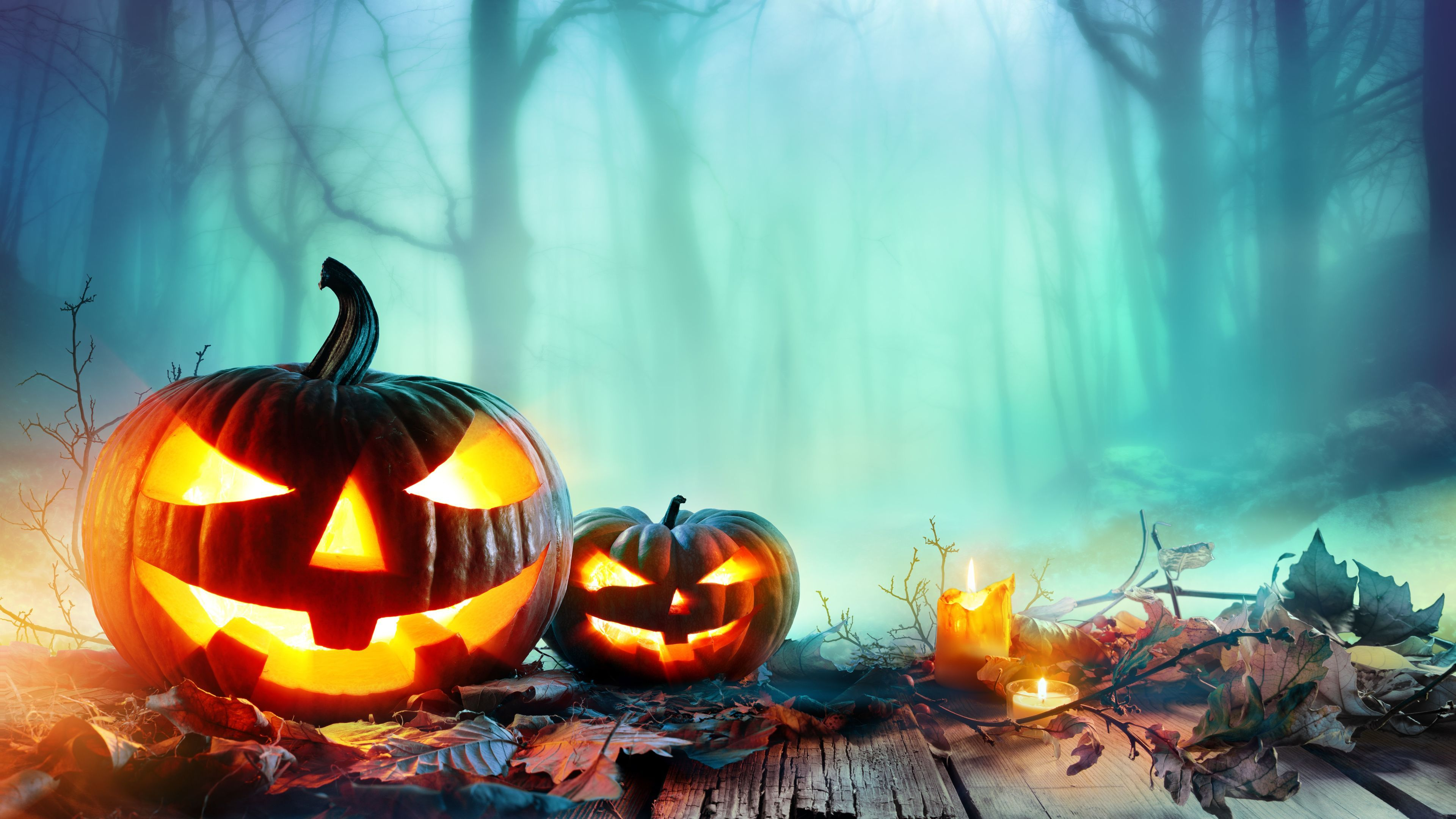 3840x2160 4k new Halloween pumpkin wallpapers, holidays wallpapers, hd-wallpapers, halloween wallpapers, celebra&acirc;&#128;&brvbar; | Pumpkin wallpaper, Halloween backgrounds, Halloween images