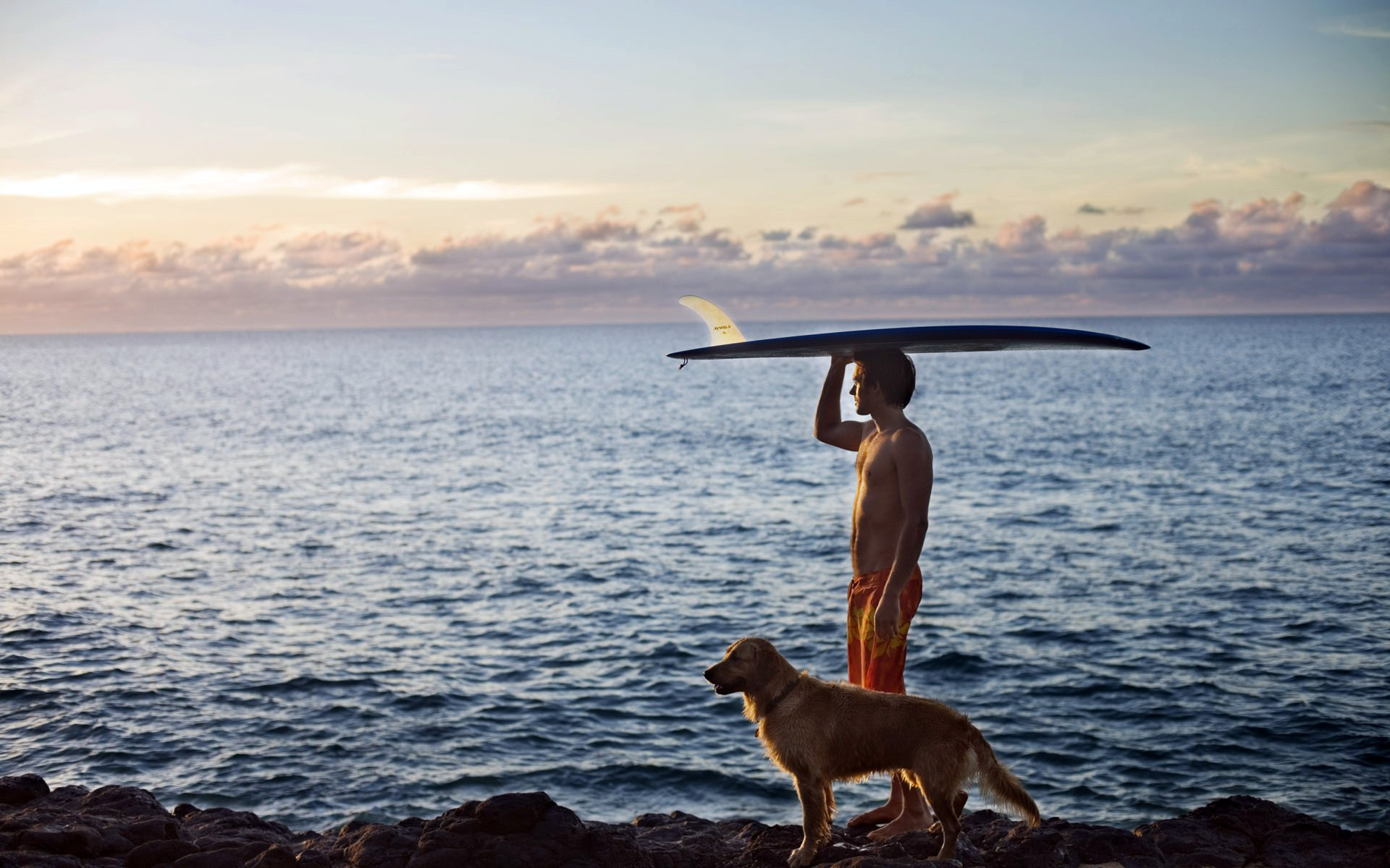 1920x1200 Surfing animals dogs people men boys surfboard ocean sea mood sky clouds wallpaper | | 28246
