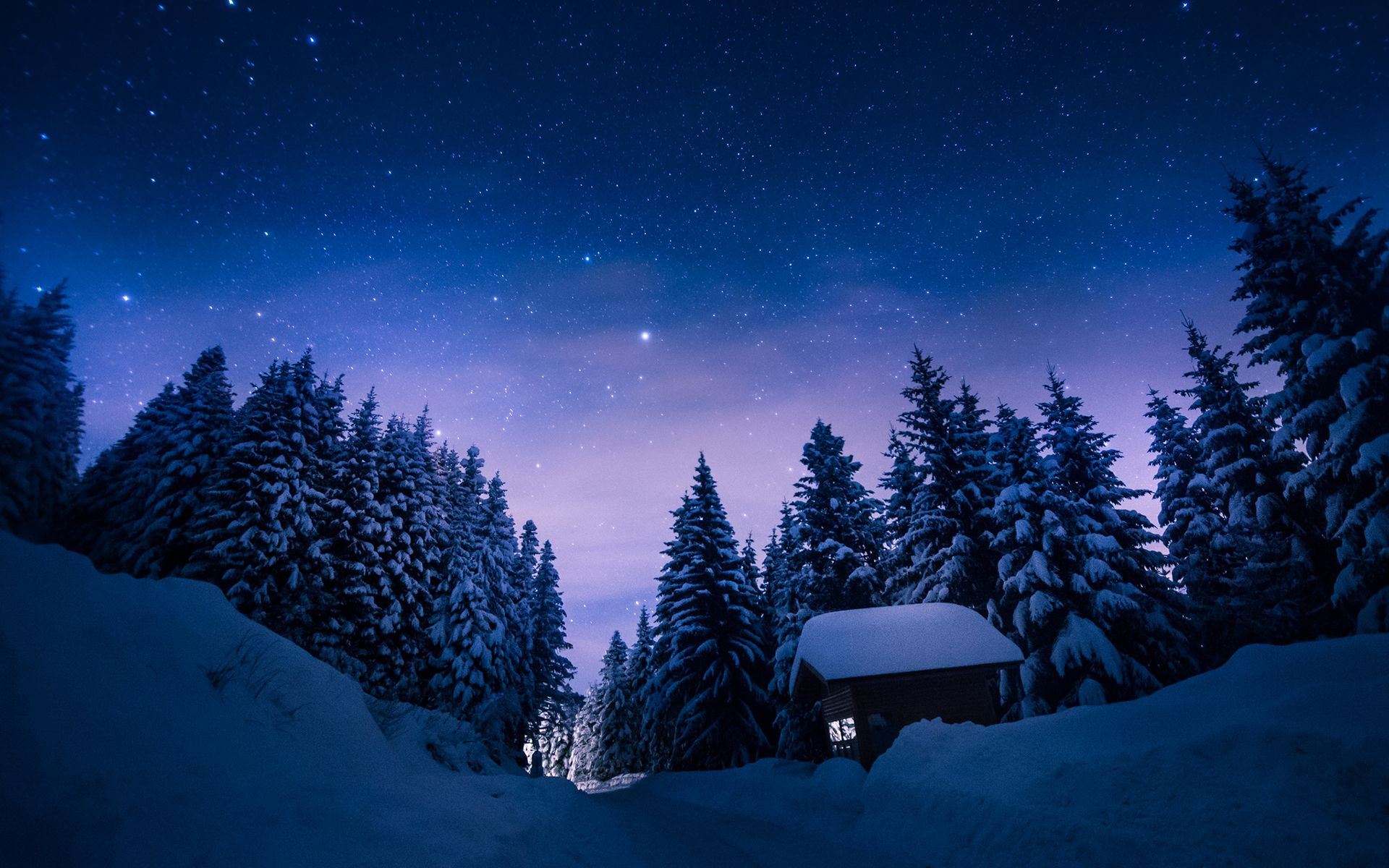 1920x1200 Trees Snow Winter Night Stars Cabin Path Trail trees sky | Snow forest, Stars at night, Winter landscape