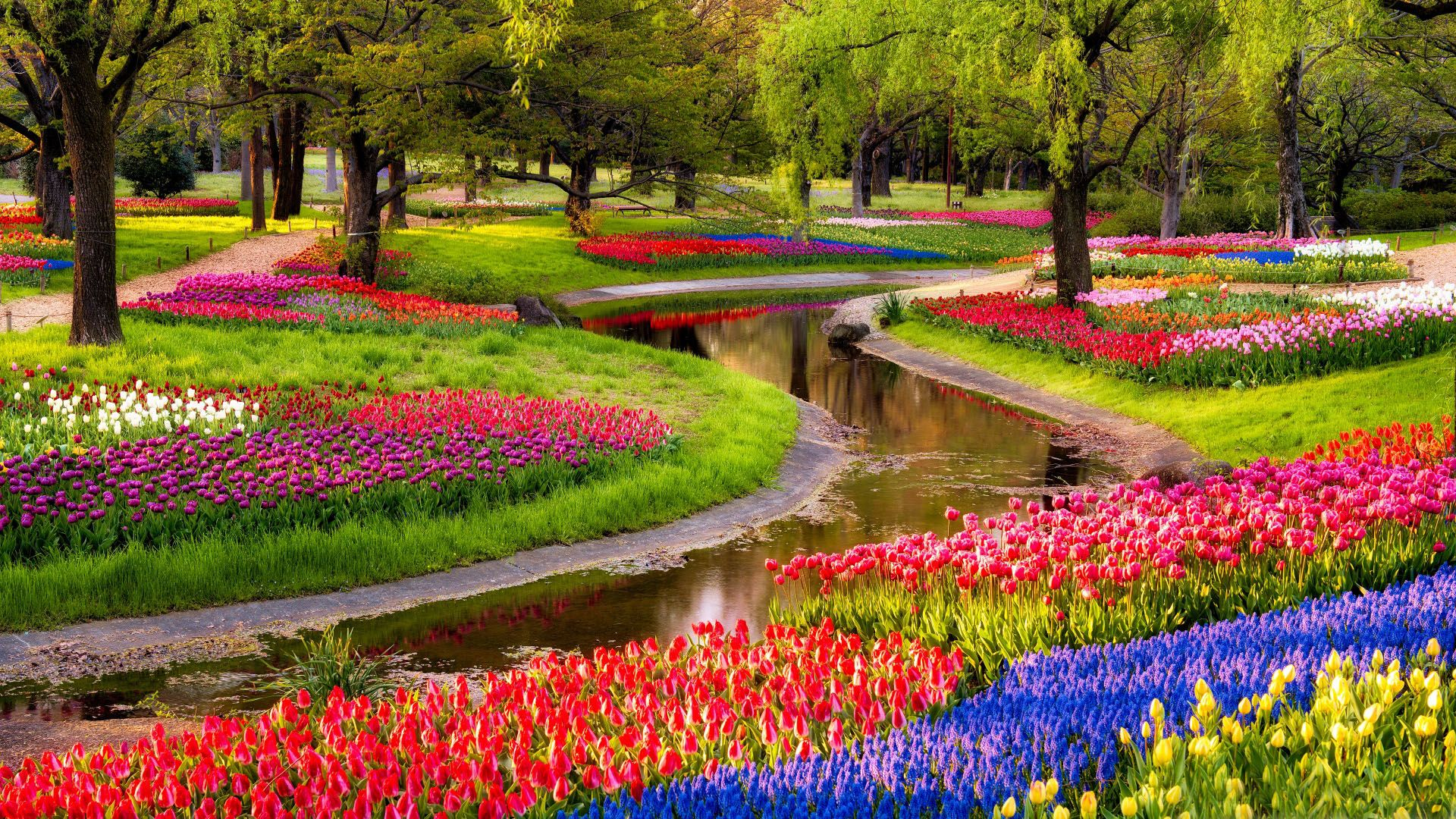 1920x1080 Most Beautiful Spring Wallpapers Top Free Most Beautiful Spring Backgrounds