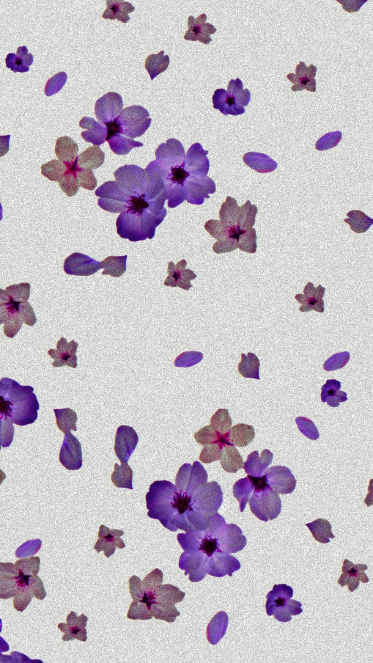 1288x2289 purple flowers wallpaper | Flower wallpaper, Purple flowers wallpaper, Purple flowers