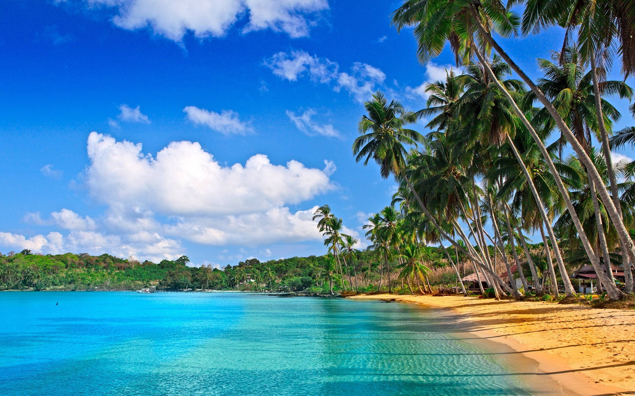 2560x1600 Tropical Beach Desktop Wallpapers