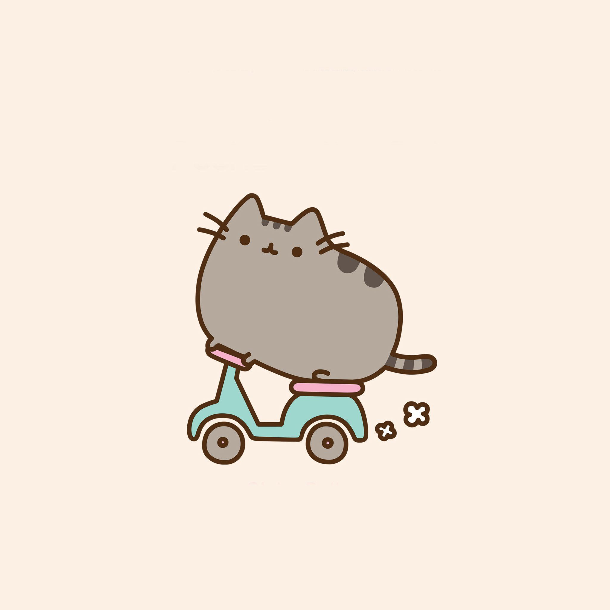 2048x2048 Pusheen Collection See All #Wallpapers : #wallpapers #background #fun | Pusheen cute, Pusheen cat, Pushee
