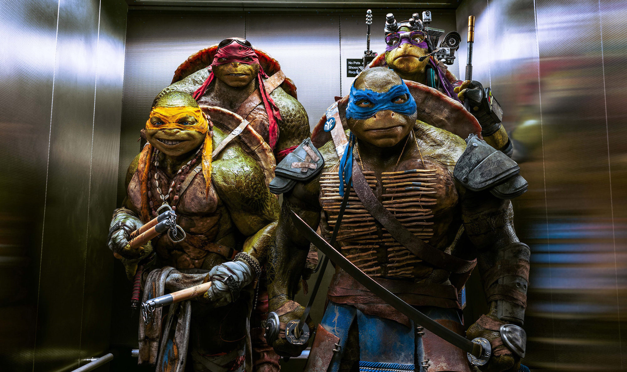 2000x1188 Teenage Mutant Ninja Turtles Out Of The Shadows 2016, HD Movies, 4k Wallpapers, Images, Backgrounds, Photos and Pictures