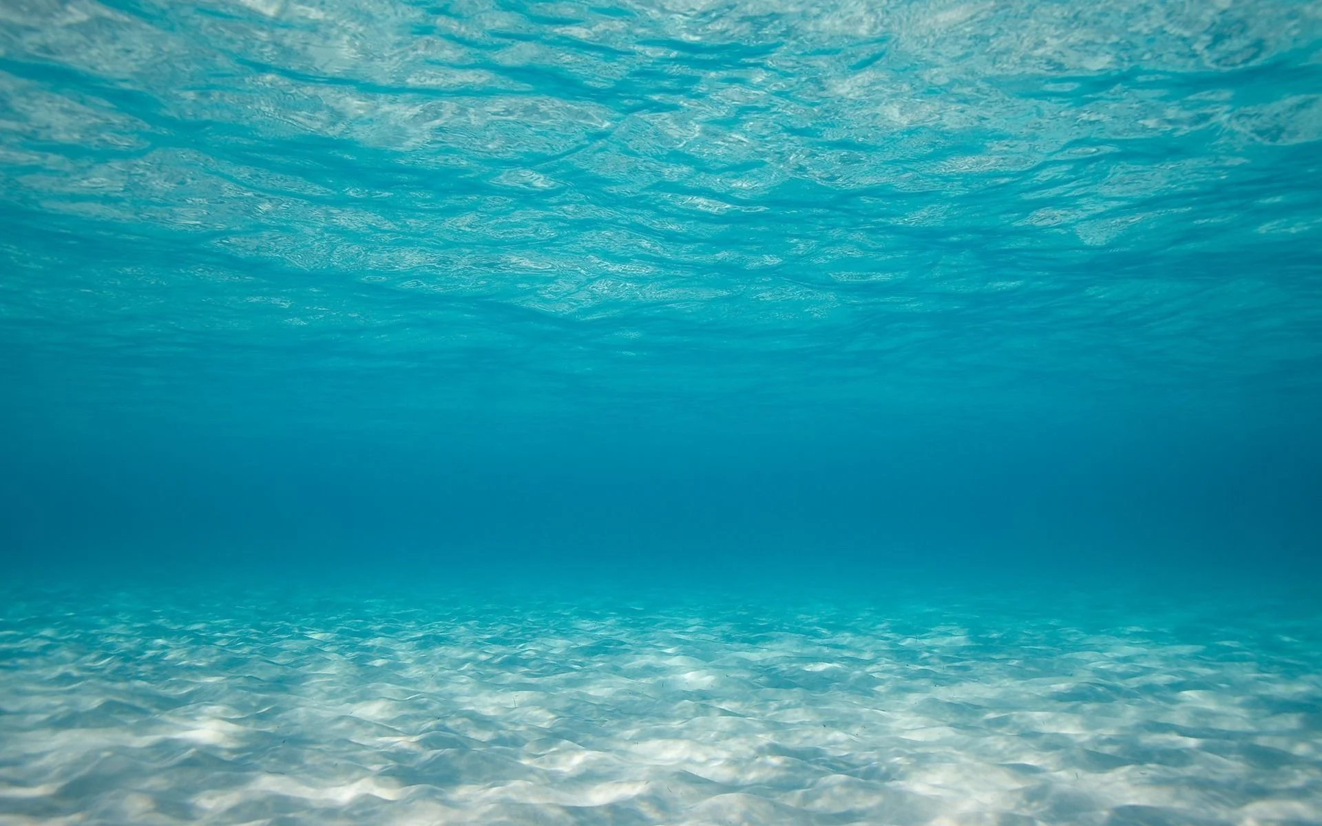 1920x1200 Under Ocean Wallpapers Top Free Under Ocean Backgrounds
