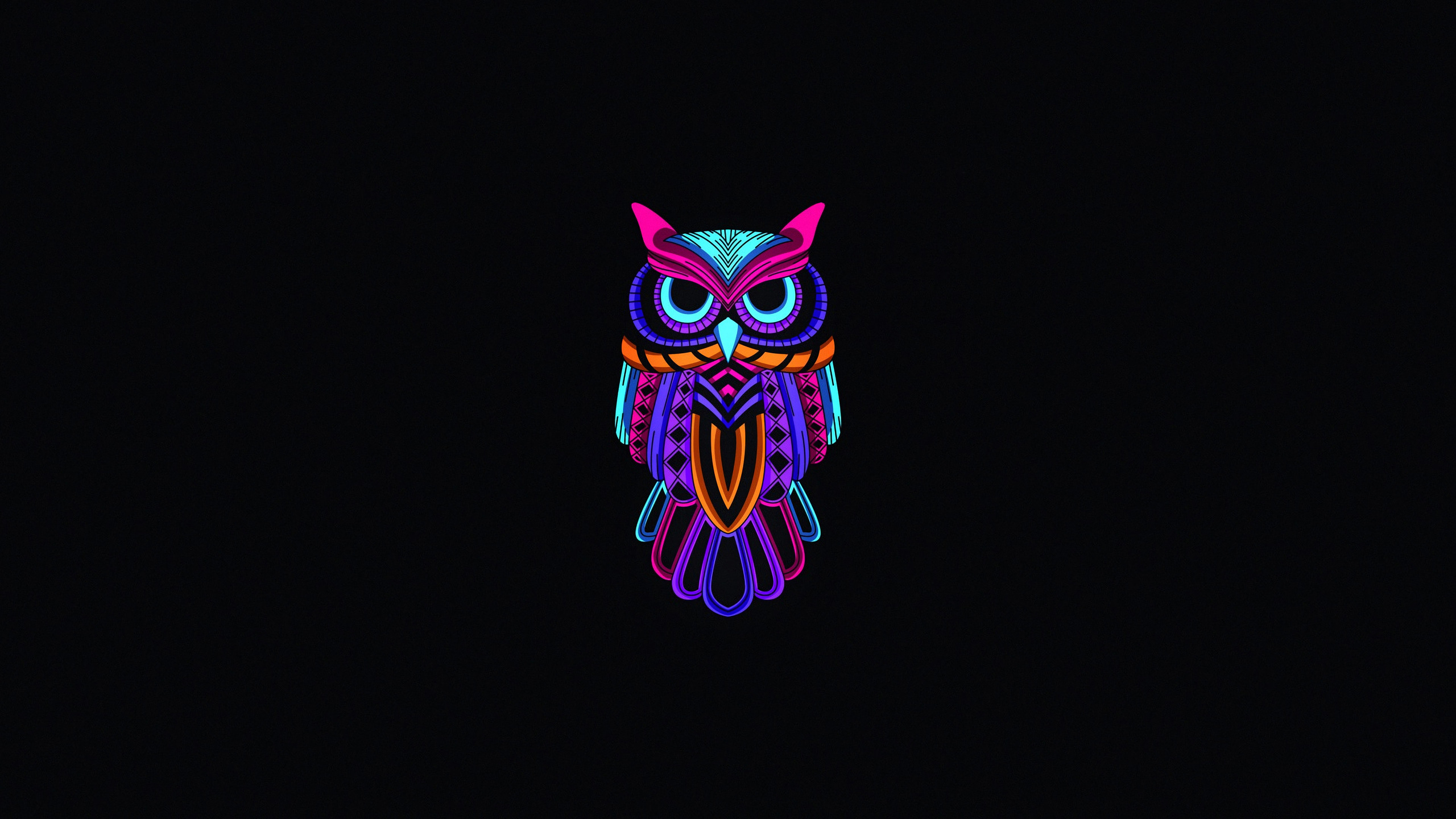 2560x1440 Owl Minimal Dark 4k 1440P Resolution HD 4k Wallpapers, Images, Backgrounds, Photos and Pictures