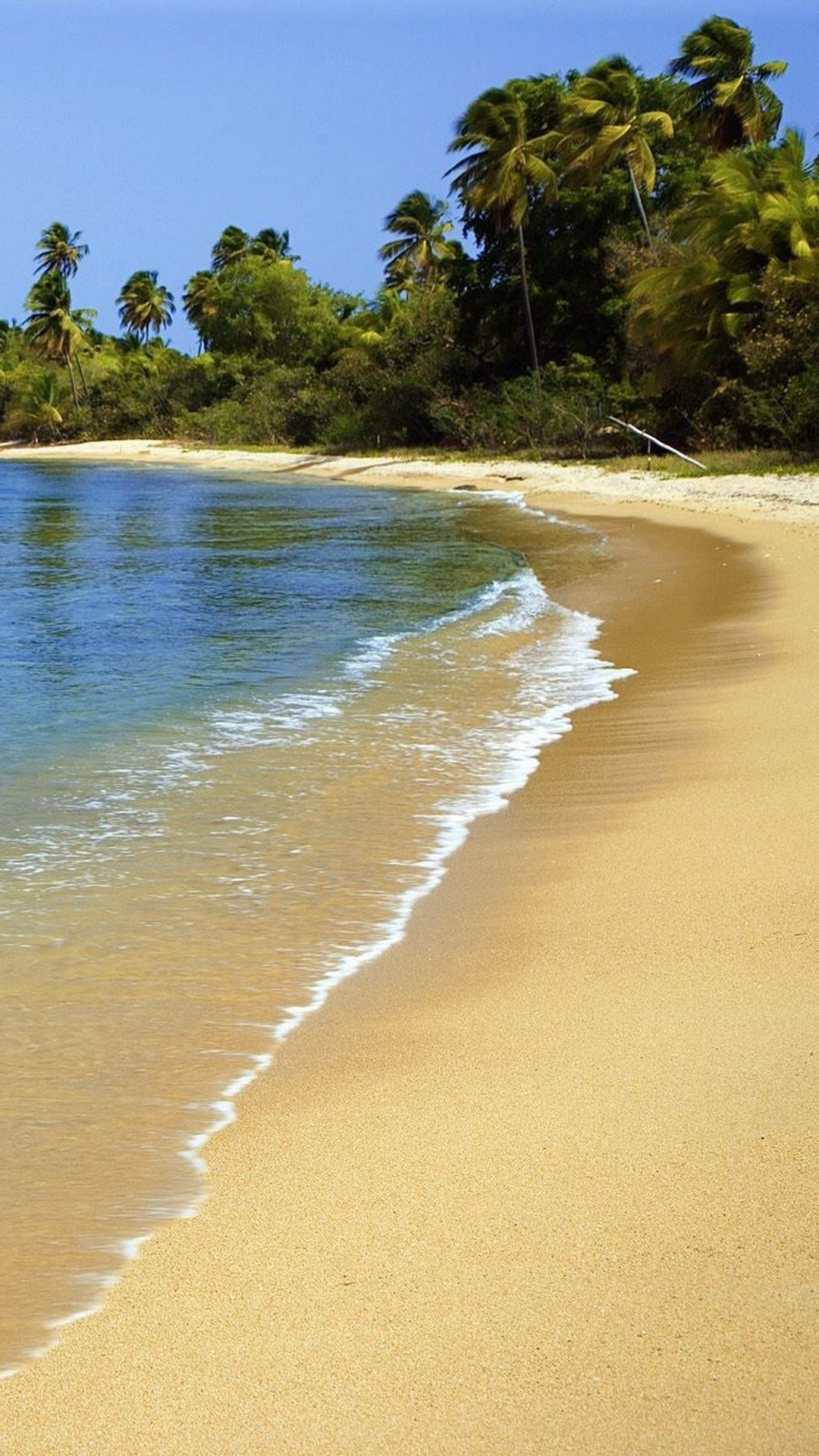1080x1920 Nature iPhone 6 Plus Wallpapers Puerto Rico Beach Sand Palm Trees iPhone 6 Plus HD Wallpaper #iP&acirc;&#128;&brvbar; | Tree wallpaper phone, Palm trees wallpaper, Tree hd wallpaper