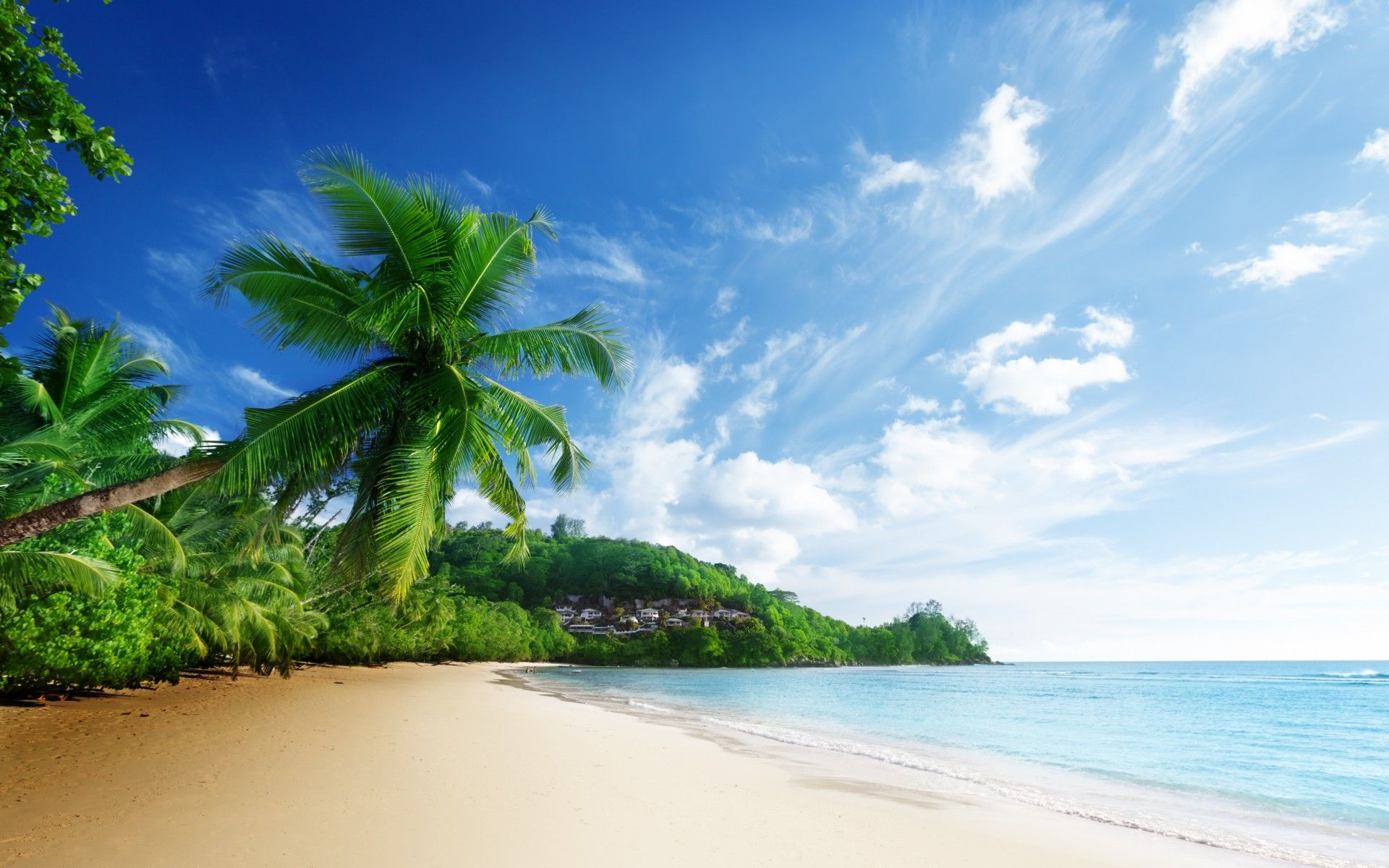 1920x1200 Tropical Scenery Wallpapers Top Free Tropical Scenery Backgrounds