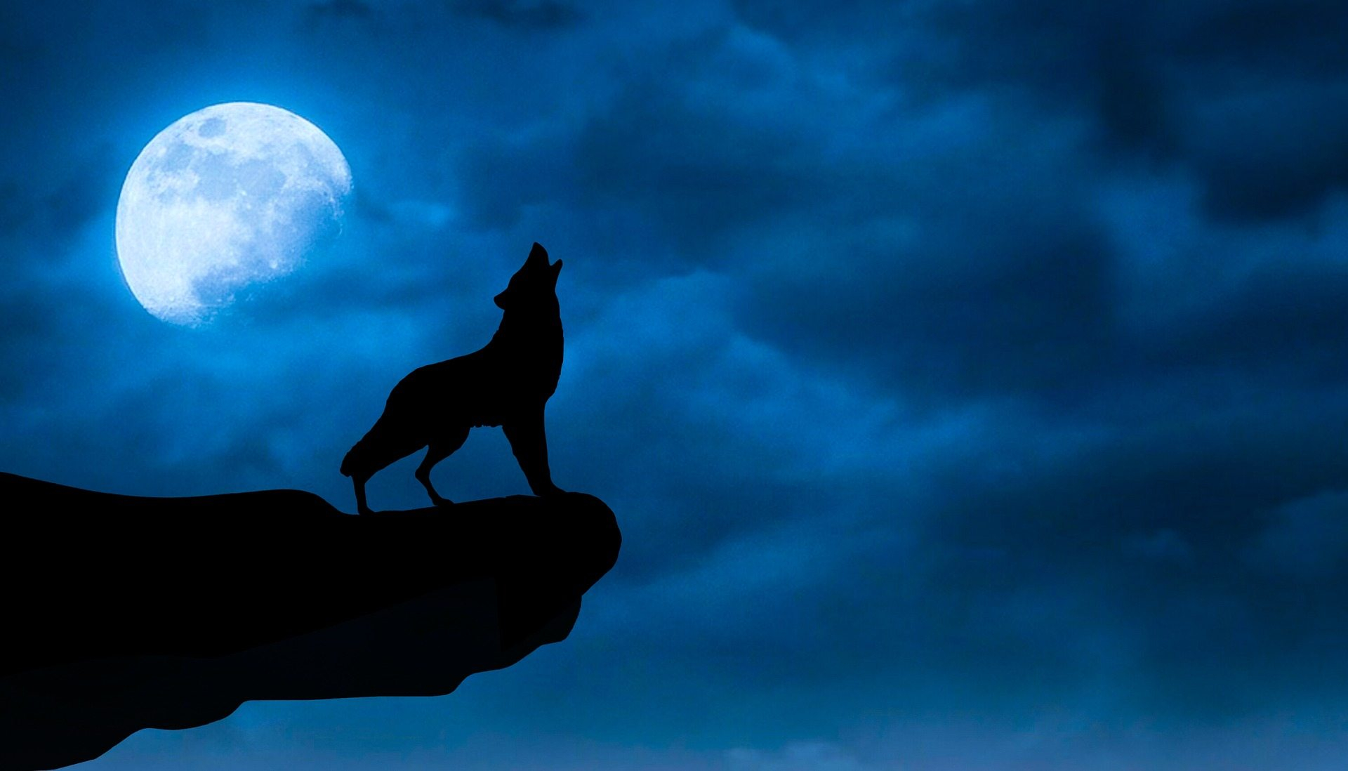 1920x1098 Wolf and Moon Wallpapers Top Free Wolf and Moon Backgrounds