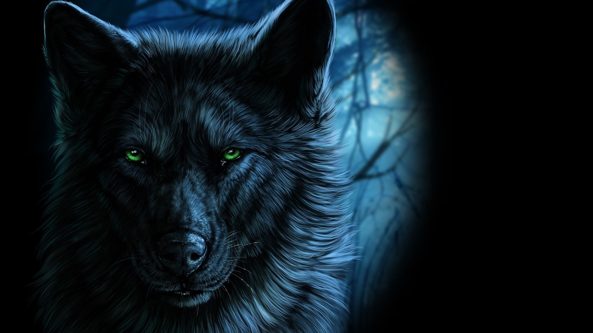 1920x1080 22 Black Wolf Wallpapers Wallpaperboat