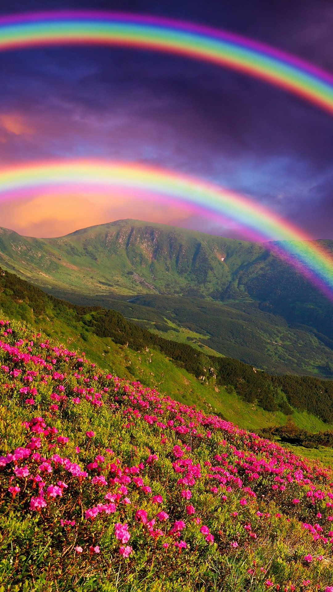 1080x1920 7 Rainbow in the Mountains Mobile Wallpapers Wallpaperboat