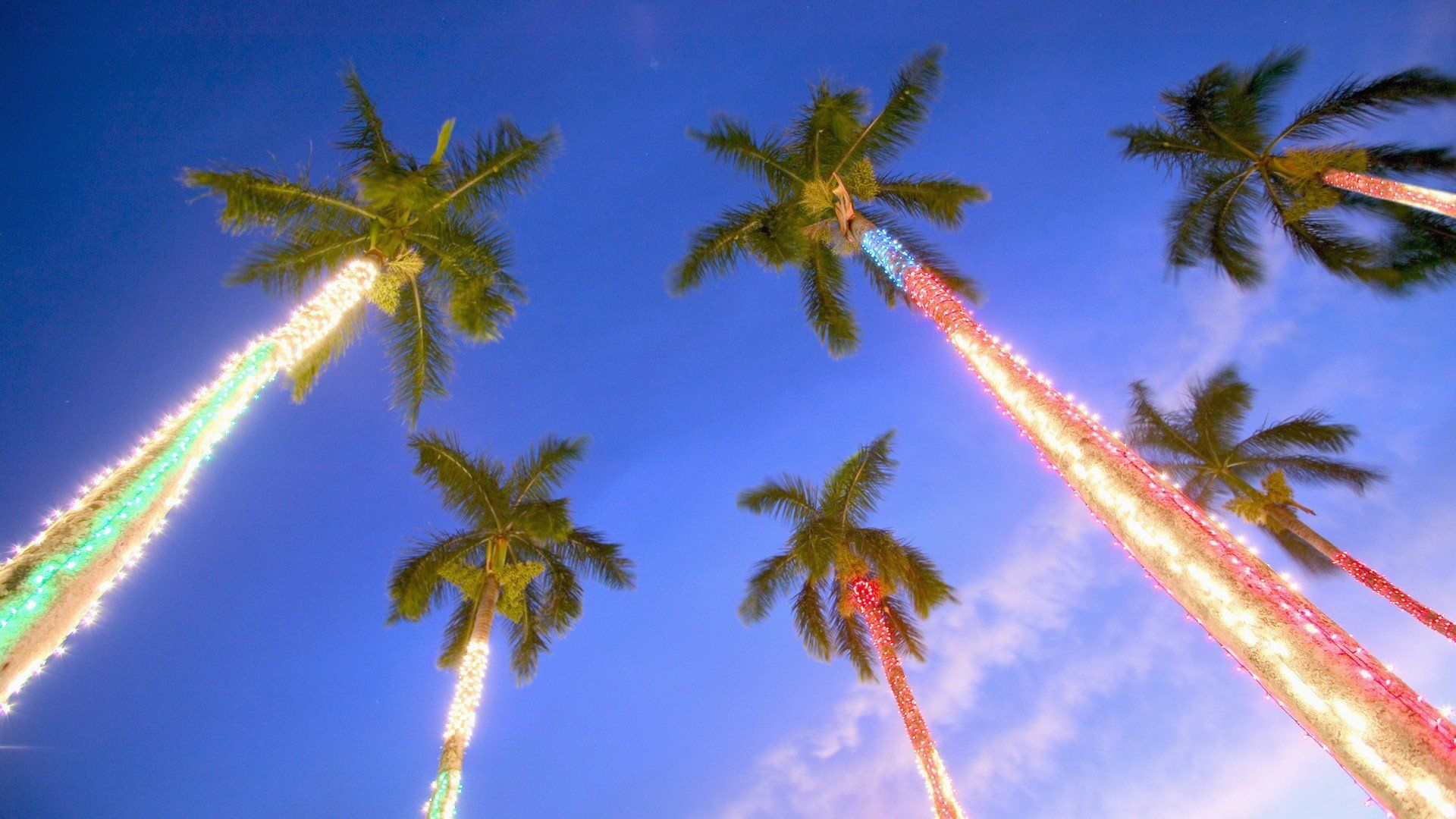 1920x1080 Tropical Christmas Wallpapers Top Free Tropical Christmas Backgrounds