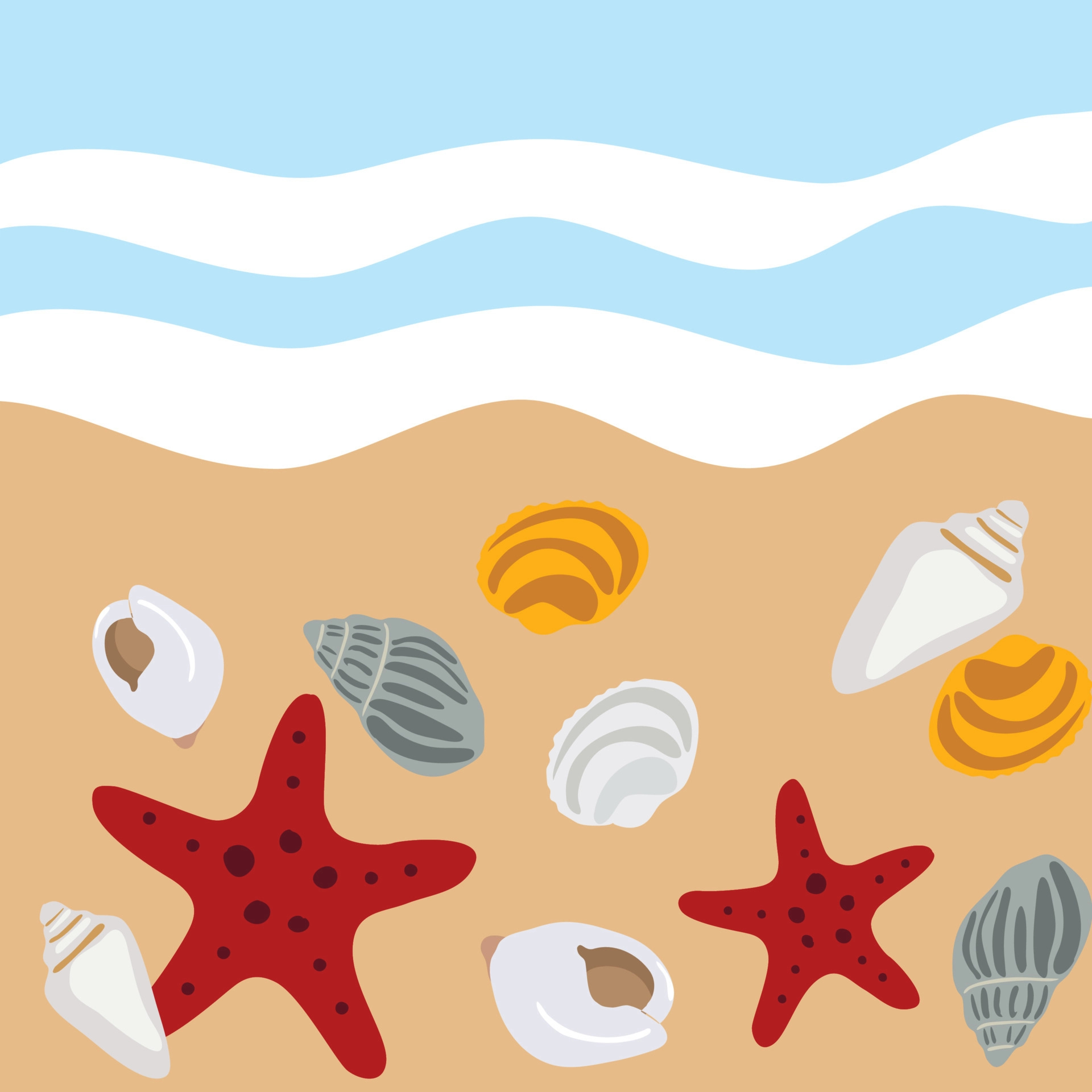1920x1920 Beach wallpaper background with shells and starfish. 6647913 Vector Art at Vecteezy