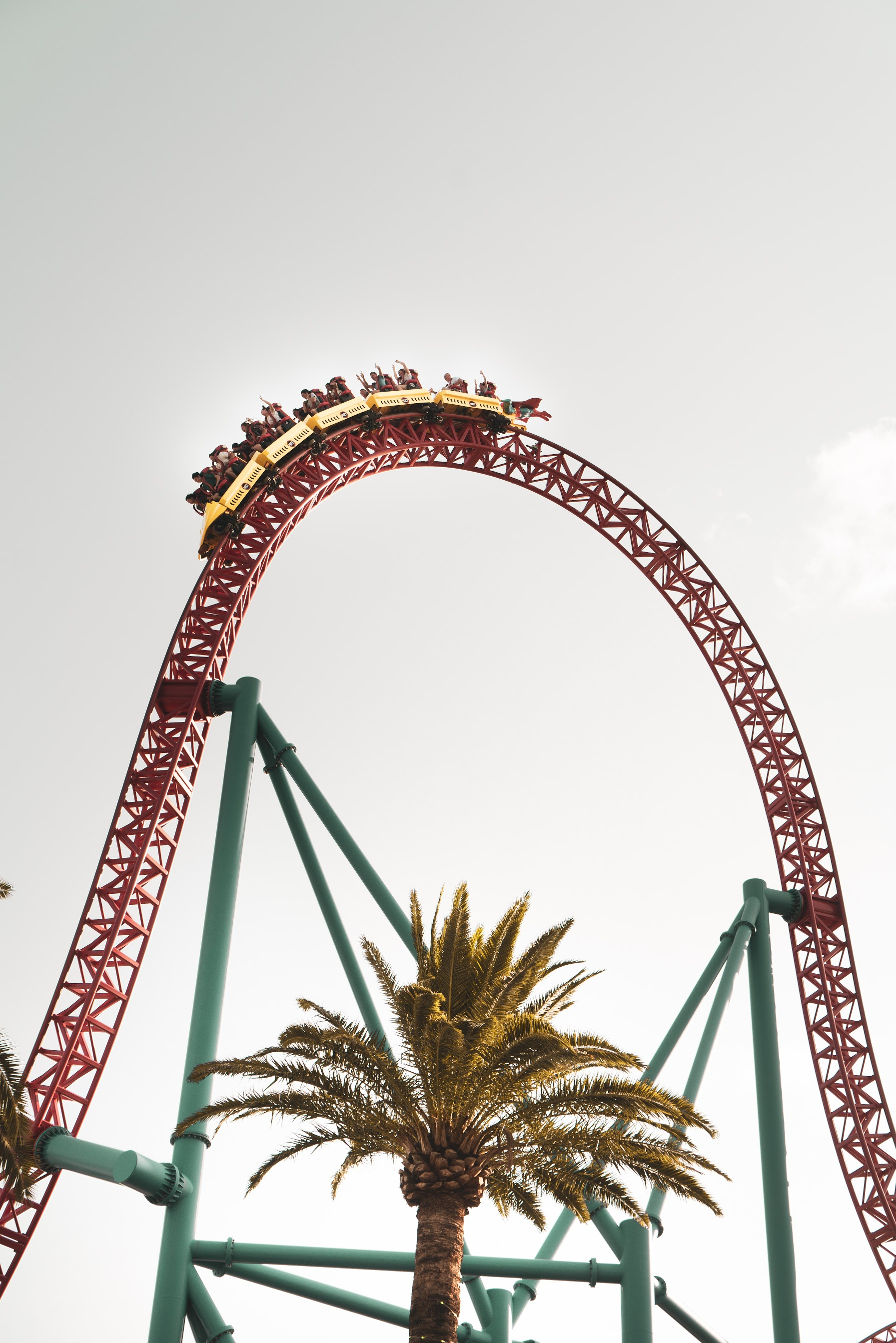 1793x2688 Rollercoaster Photos, Download Free Rollercoaster Stock Photos \u0026 HD Images