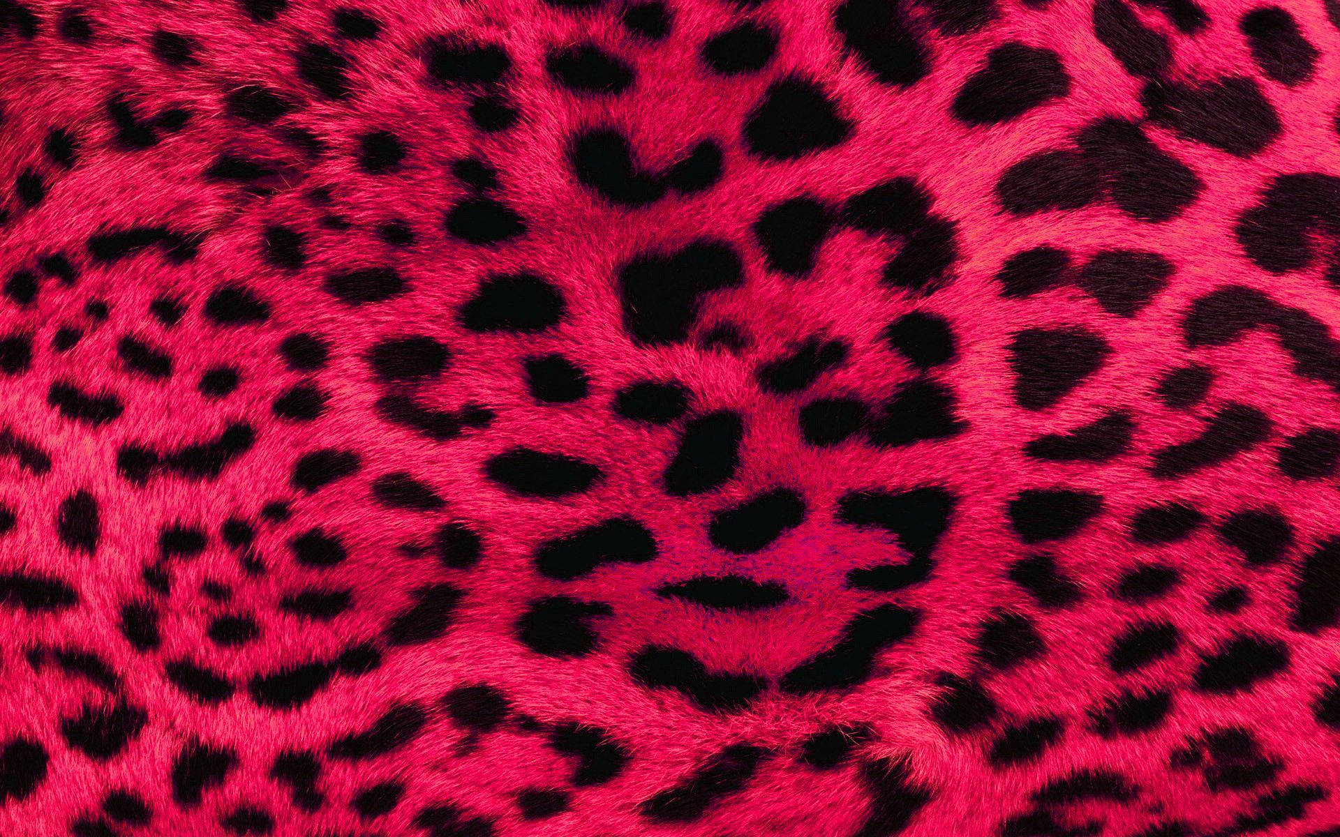1920x1200 Download Pink Leopard Print Fur Wallpaper