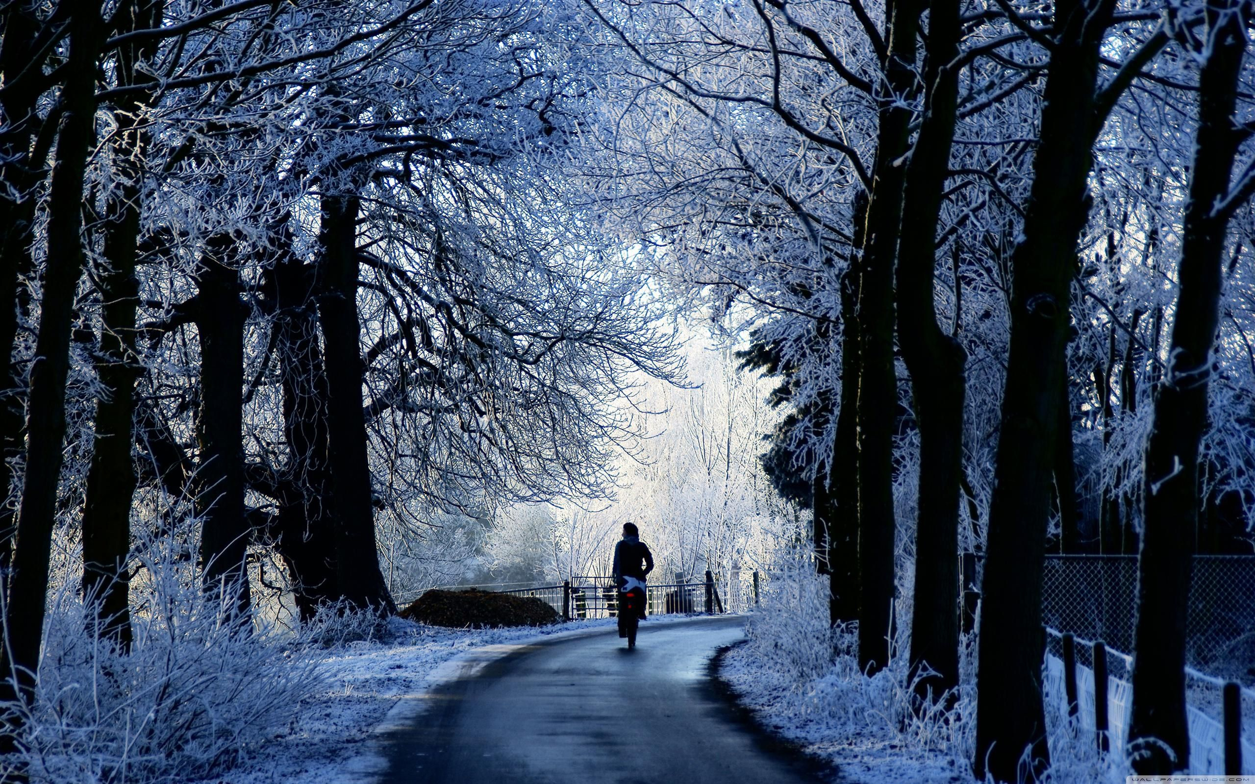2560x1600 Lonely road | Winter scenes, Winter road, Scene wallpaper