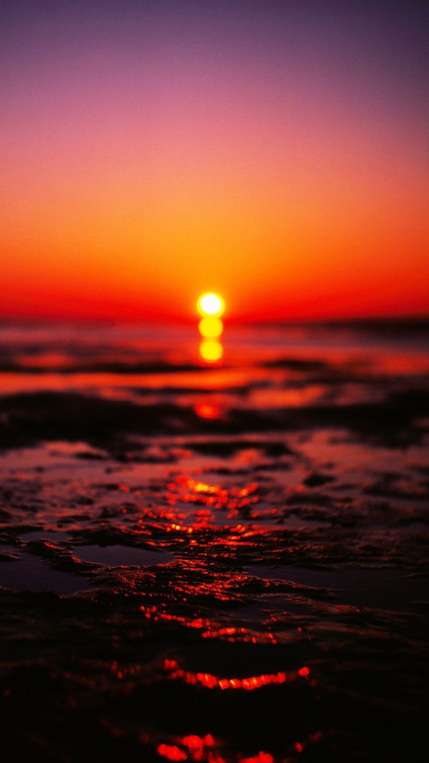 1440x2560 Nature Sunset Wallpapers Top Free Nature Sunset Backgrounds