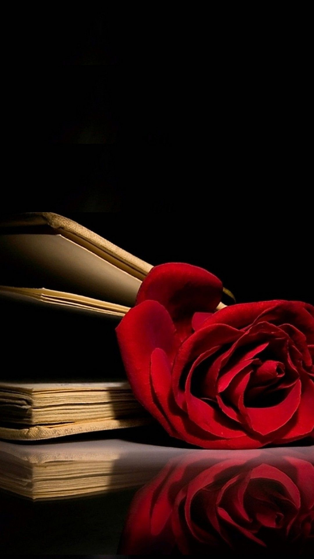 1080x1920 Red Rose Wallpaper iPhone | Best HD Wallpapers | Red roses wallpaper, Rose wallpaper, Wallpaper iphone roses