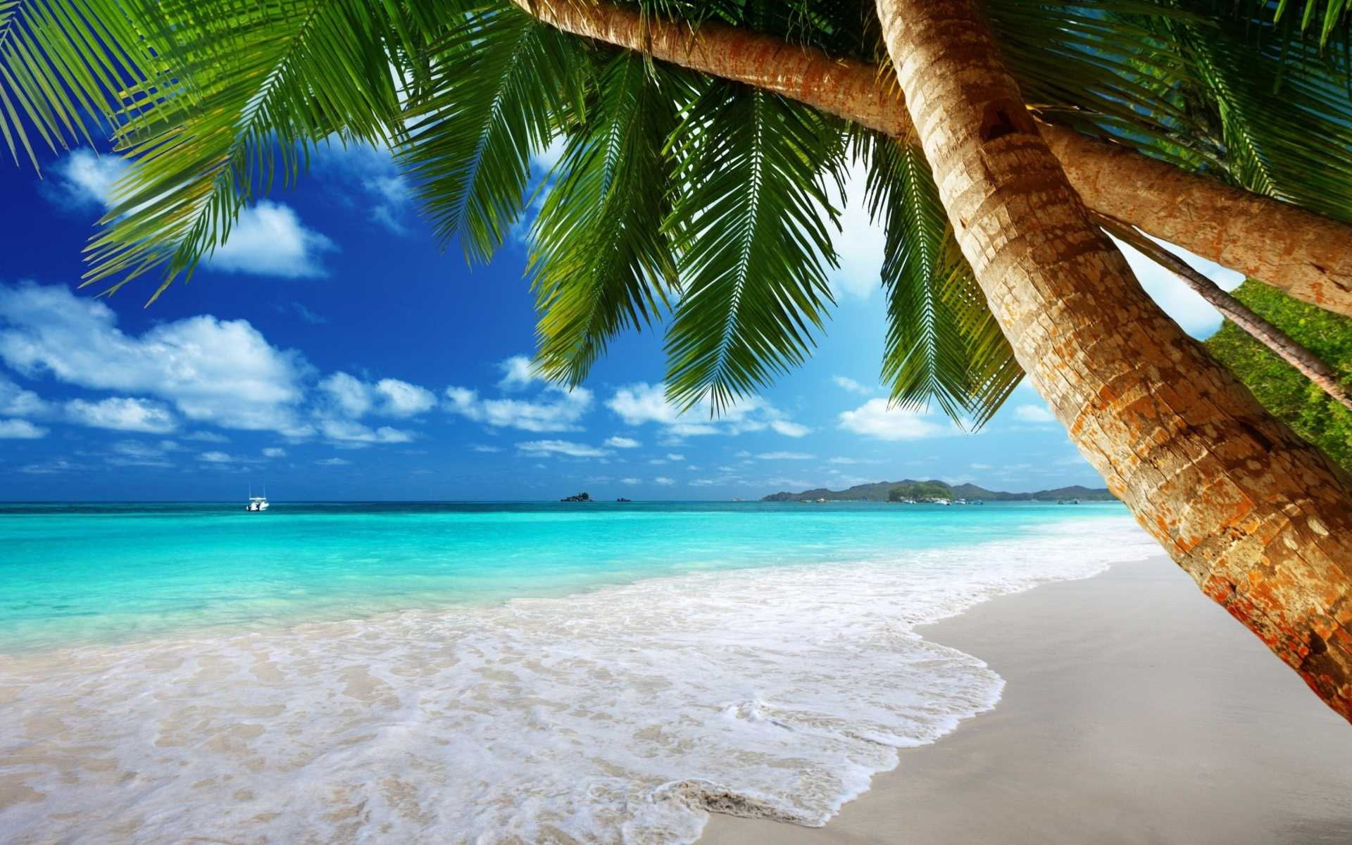1920x1200 Tropical Beach Scenes Wallpapers Top Free Tropical Beach Scenes Backgrounds
