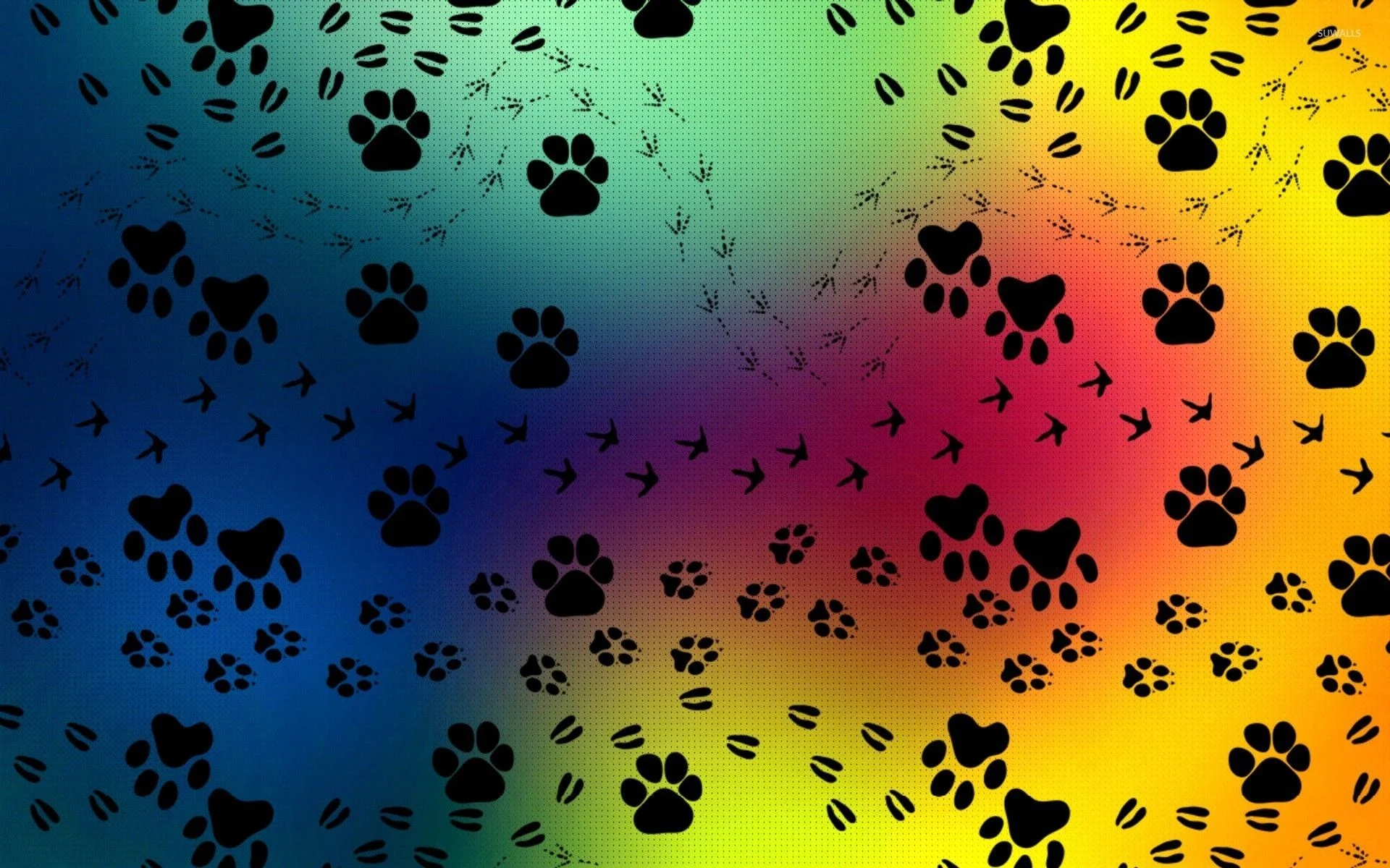 1920x1200 Cat Paw Print Wallpapers Top Free Cat Paw Print Backgrounds