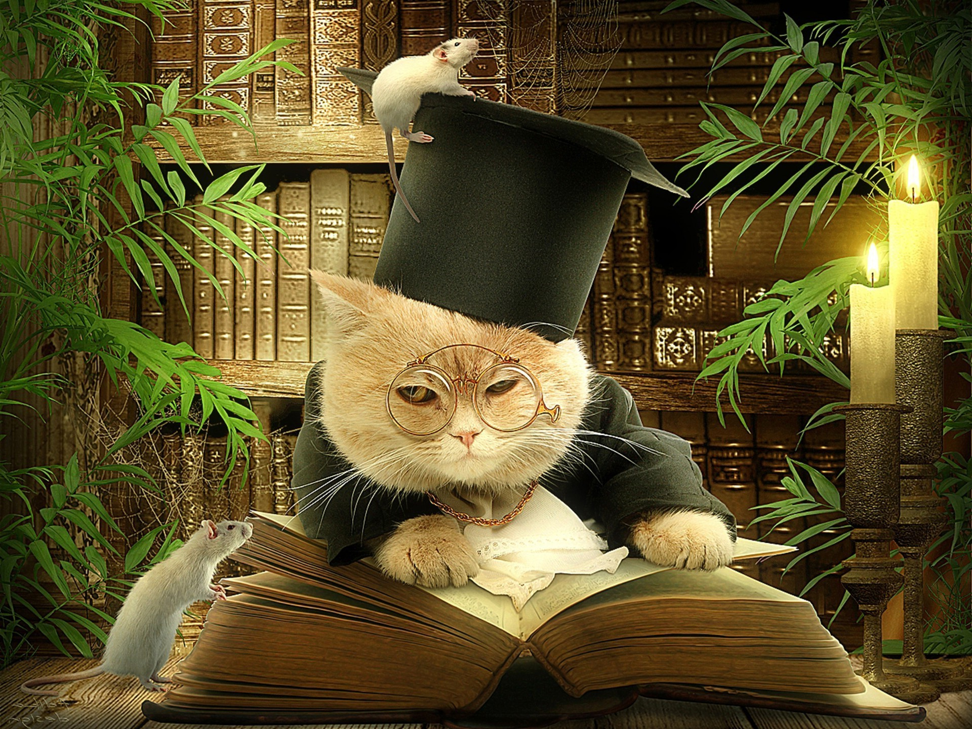 1920x1440 A red-haired cat with glasses and a black headdress, with a rat sitting on the background of shelves with books, behind an open book wallpaper