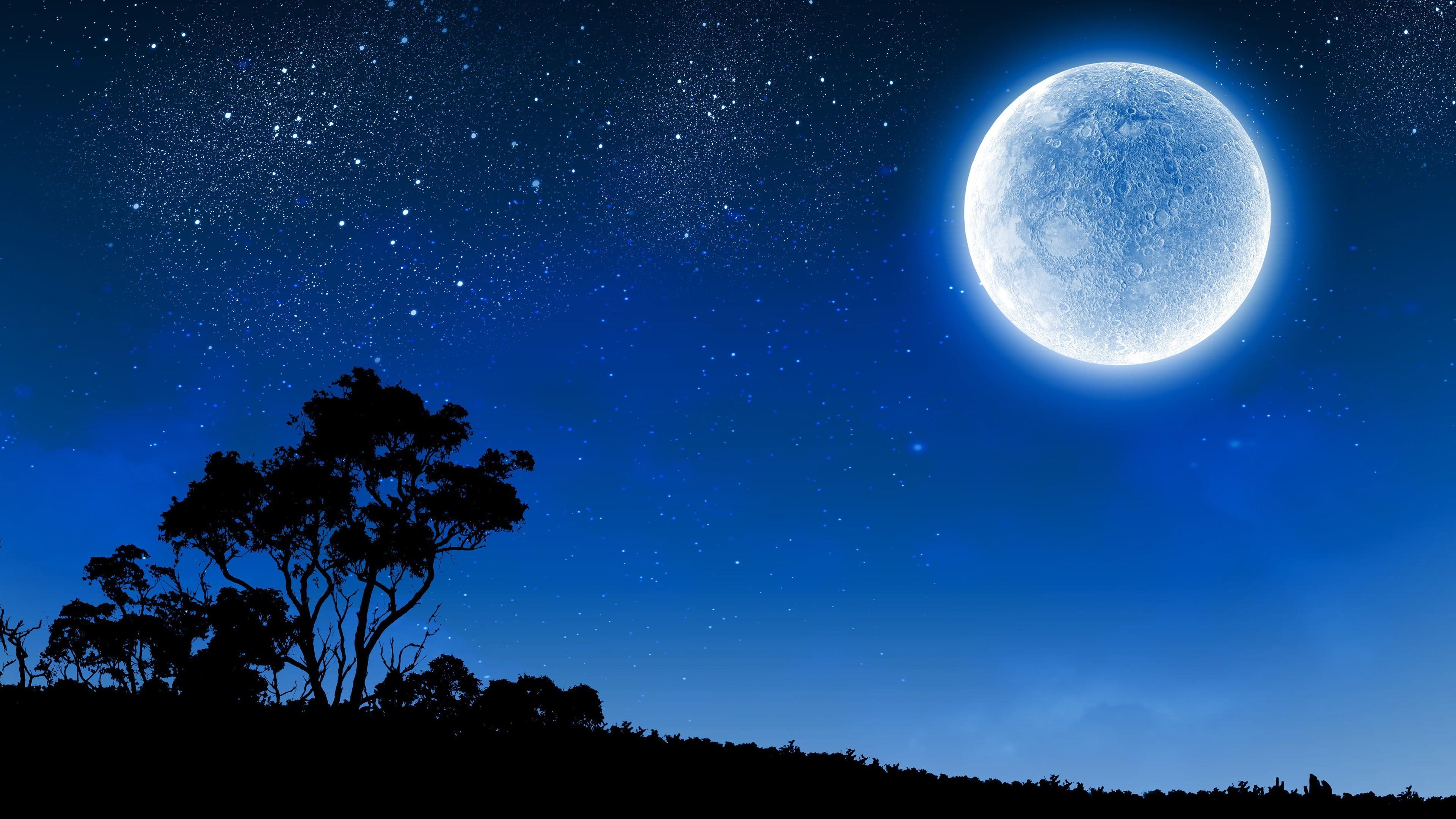 3840x2160 moon full moon #night night sky #starry #silhouette starry night #4K # wallpaper #hdwallpaper #desktop | Starry night wallpaper, Night skies, Moon photography