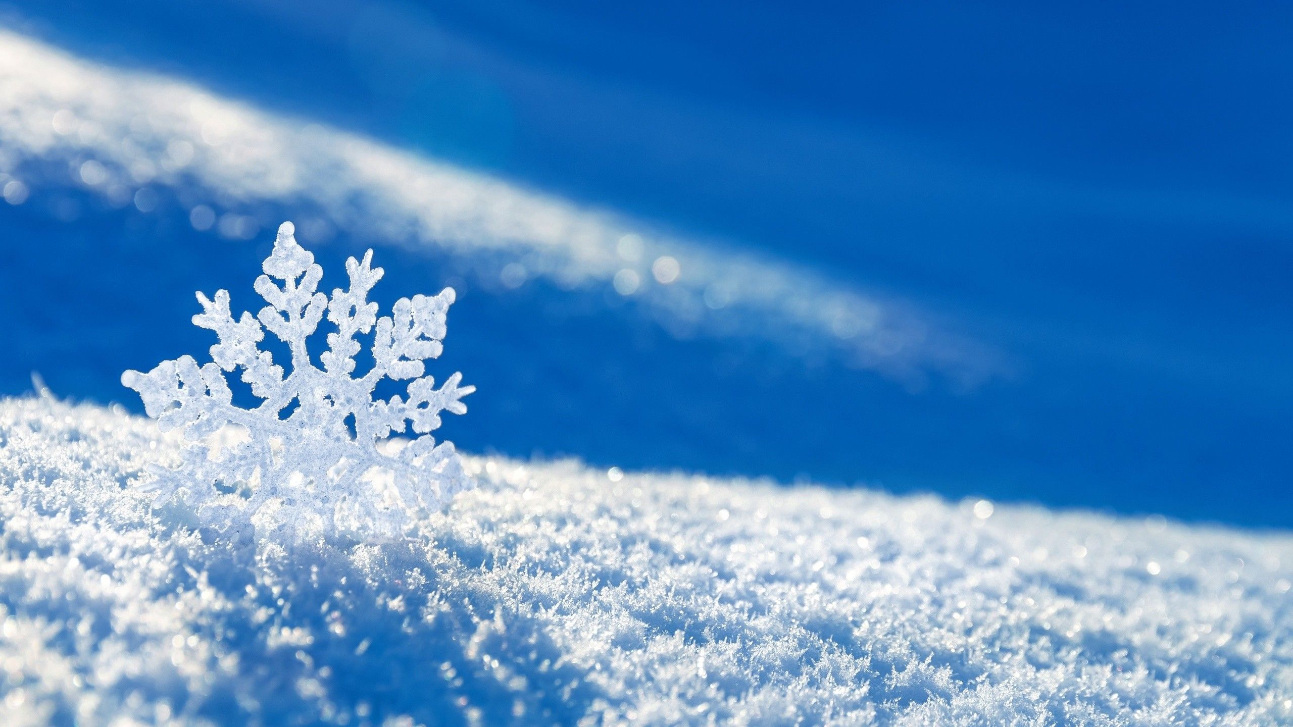 2560x1440 Snowflake Wallpapers Top Free Snowflake Backgrounds