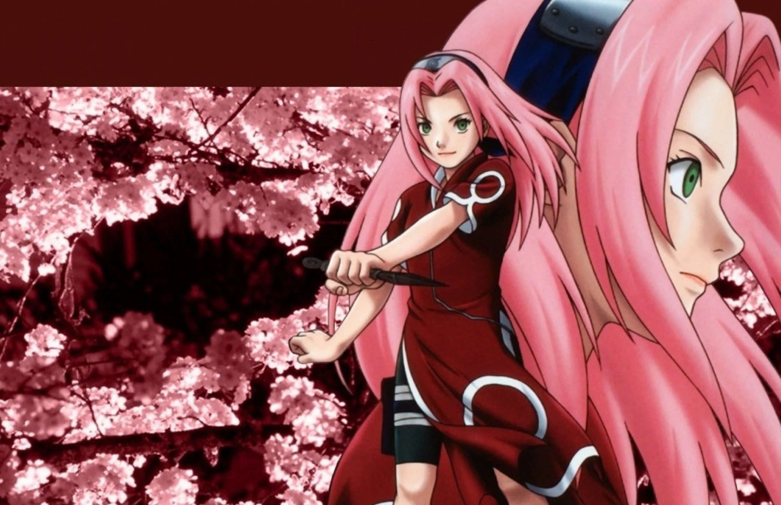 2605x1684 Naruto Sakura Wallpapers Top Free Naruto Sakura Backgrounds