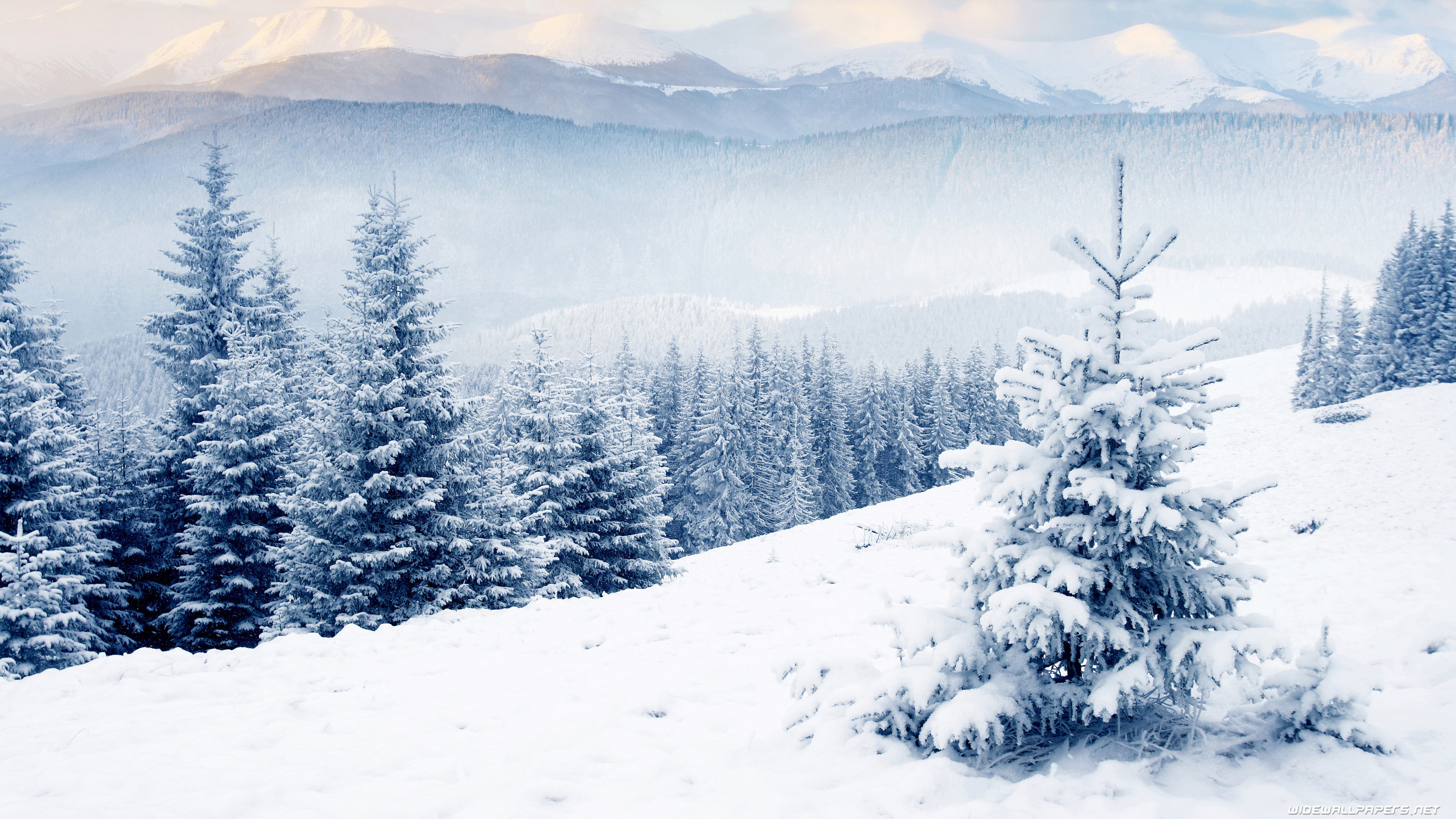 3840x2160 Beautiful Winter Wallpaper (71+ pictures