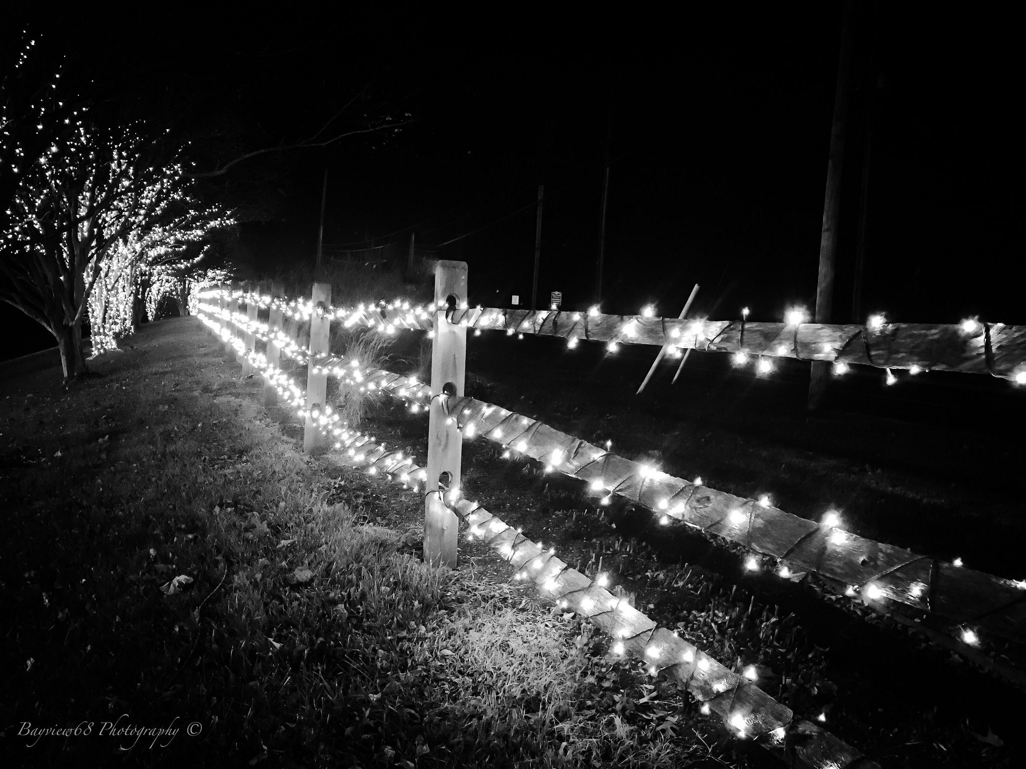 2048x1536 Christmas lights in black and white | Christmas light photography, Christmas live wallpaper, Black christmas trees