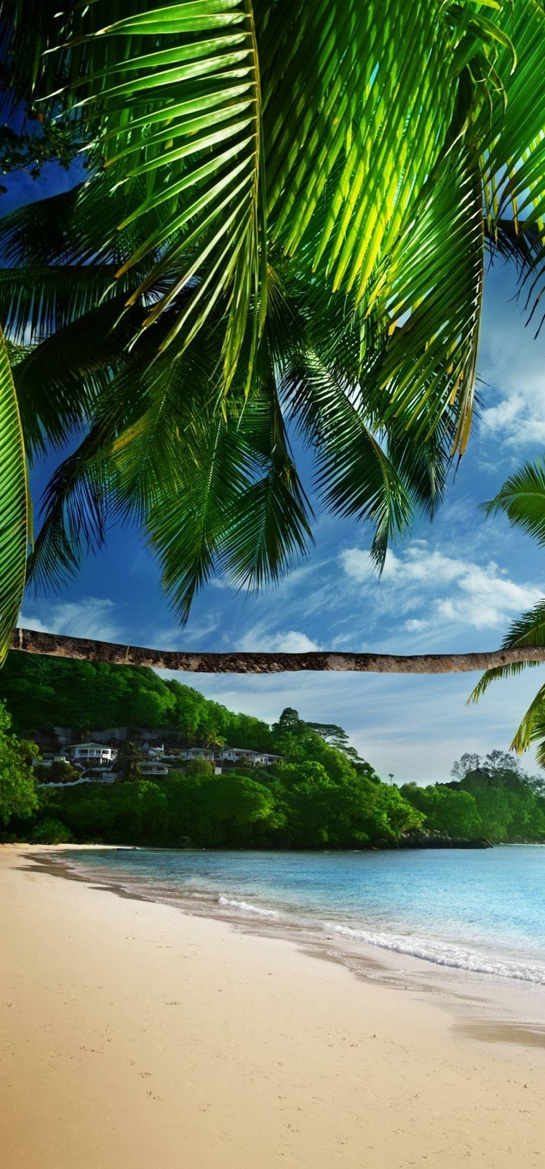 1080x2316 Tropical Beach HD Wallpaper [