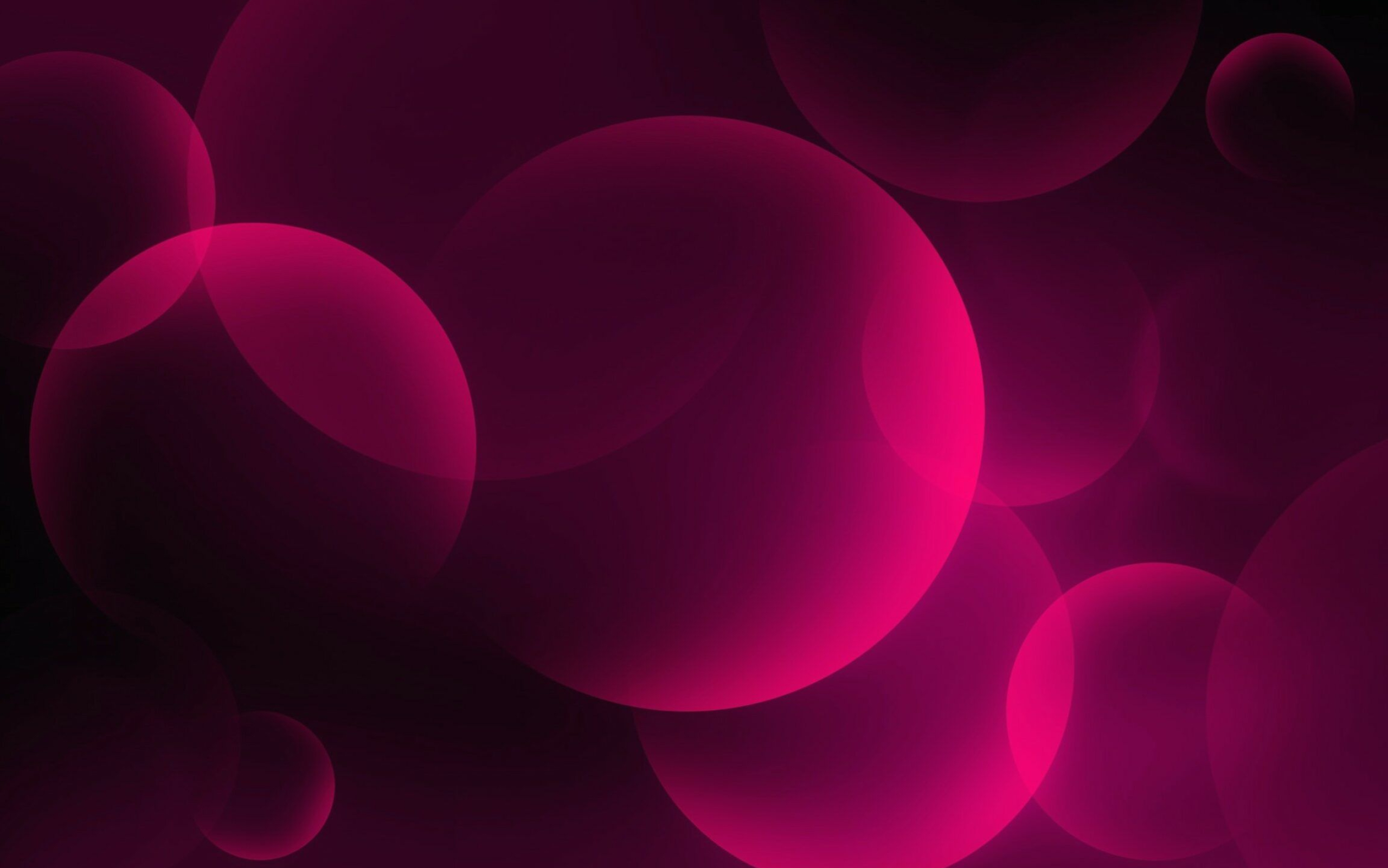 2560x1601 4k Pink Bubble Wallpaper | Pink and black wallpaper, Bubbles wallpaper, Pink wallpaper mobile