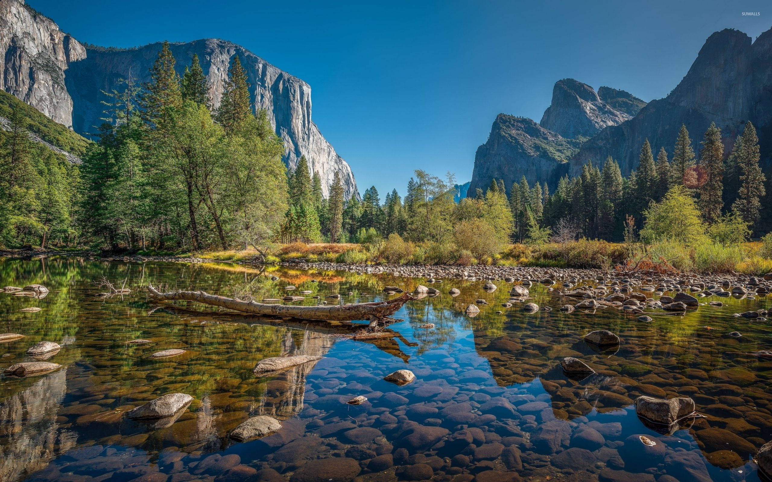 2560x1600 Download Yosemite Park And River Wallpaper