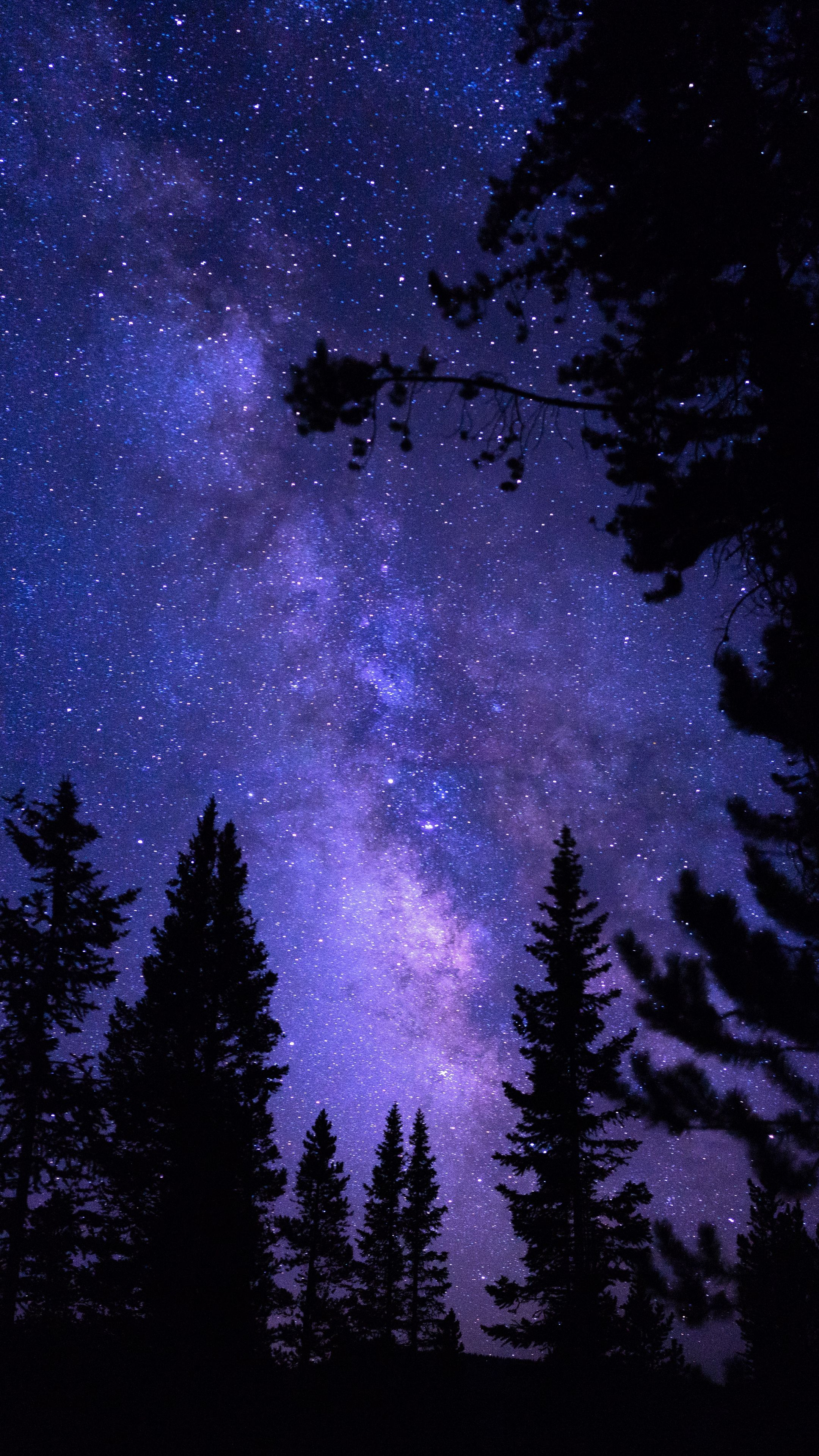2160x3840 Galaxy Trees Wallpapers