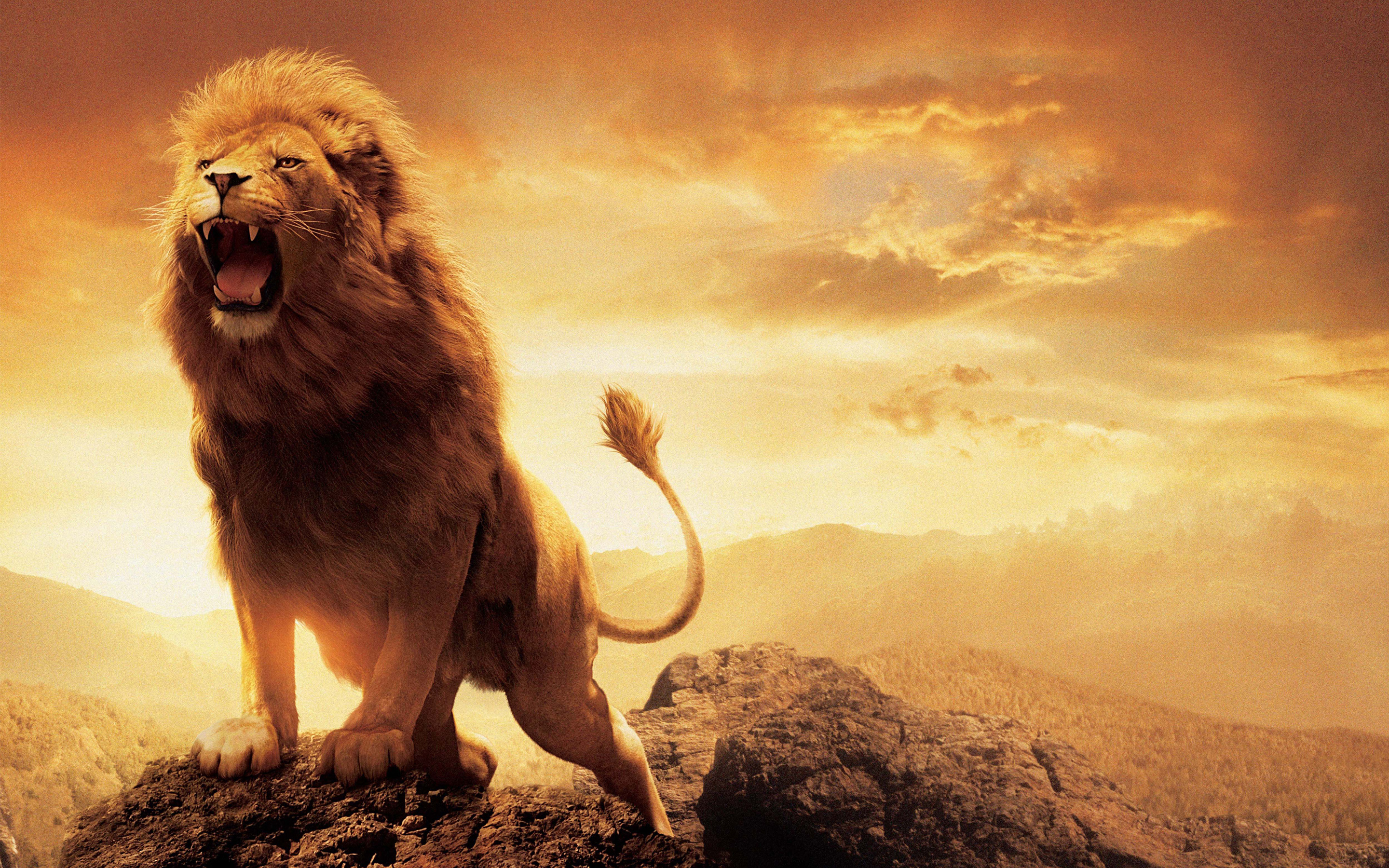 2880x1800 10+ The Chronicles of Narnia: The Lion, the Witch and the Wardrobe HD Wallpapers and Backgrounds