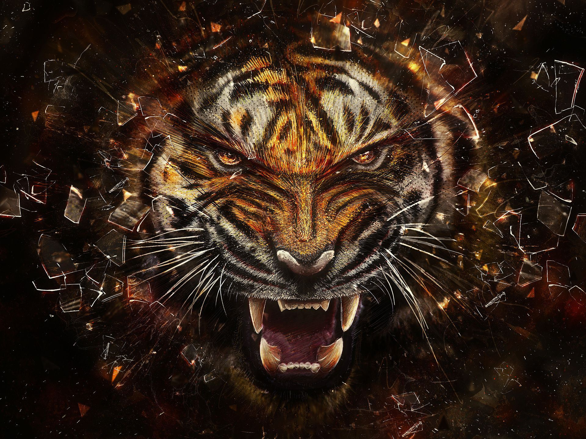1920x1440 1600+ Tiger HD Wallpapers and Backgrounds