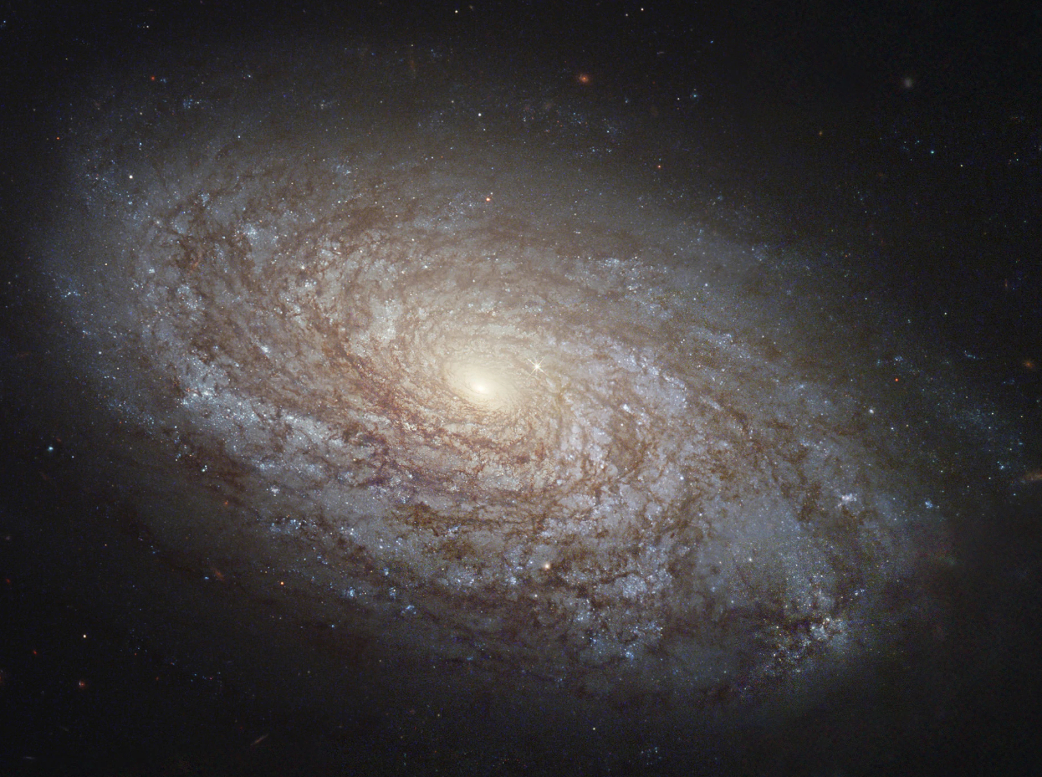 2048x1526 Tutorial Spiral Galaxy | Wallpaper Engine Wiki | Fandom