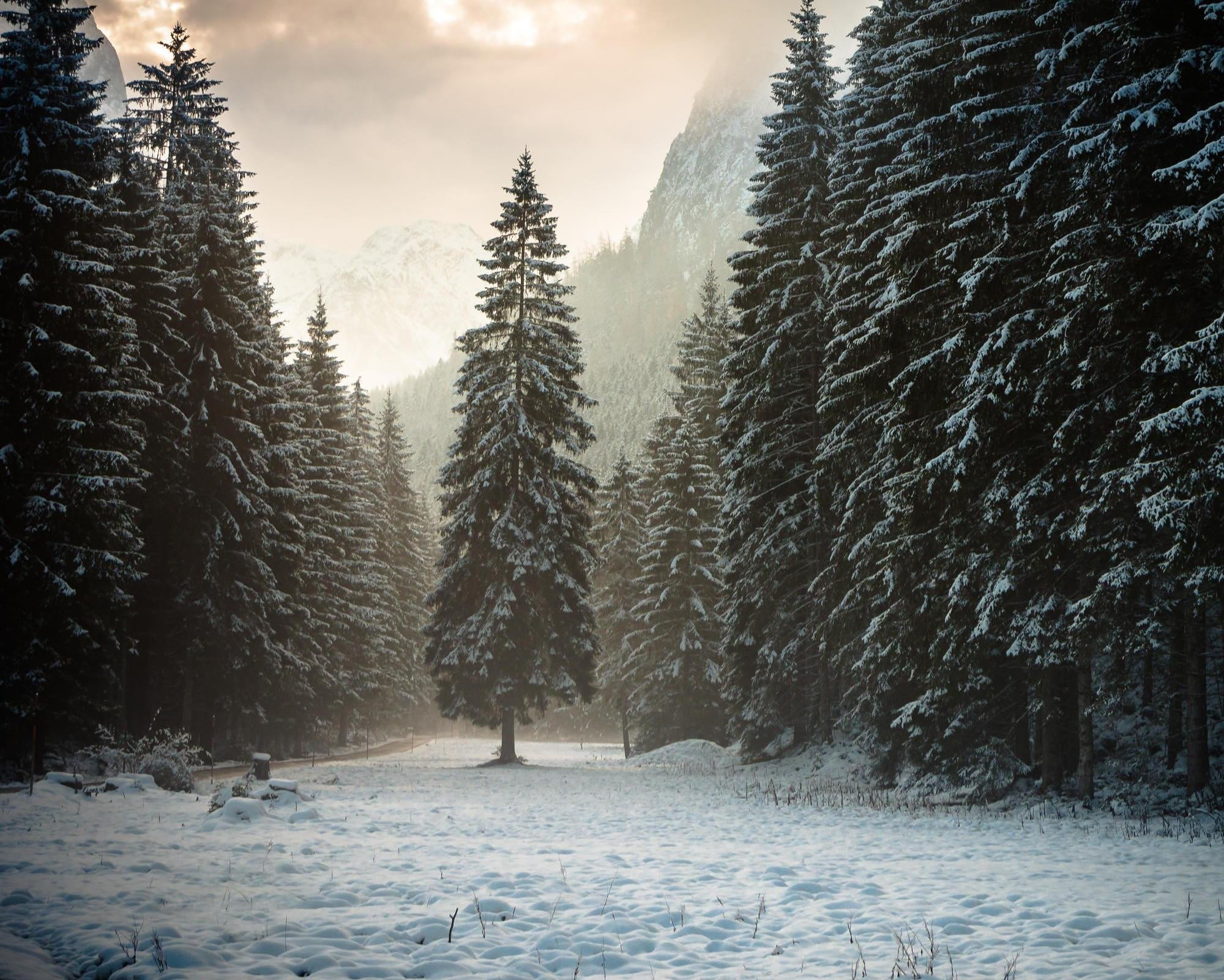 2000x1601 Winter Woods Wallpapers Top Free Winter Woods Backgrounds