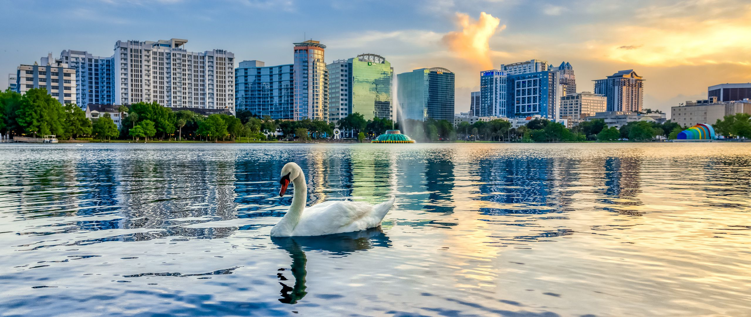 2560x1080 Swan in lake in the middle of city Wallpaper 2k Quad HD ID:10115