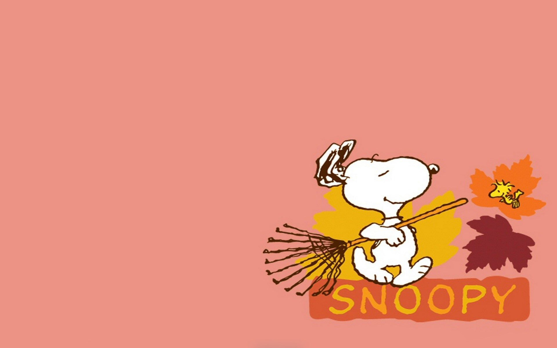 1920x1200 Snoopy Fall Wallpapers Top Free Snoopy Fall Backgrounds