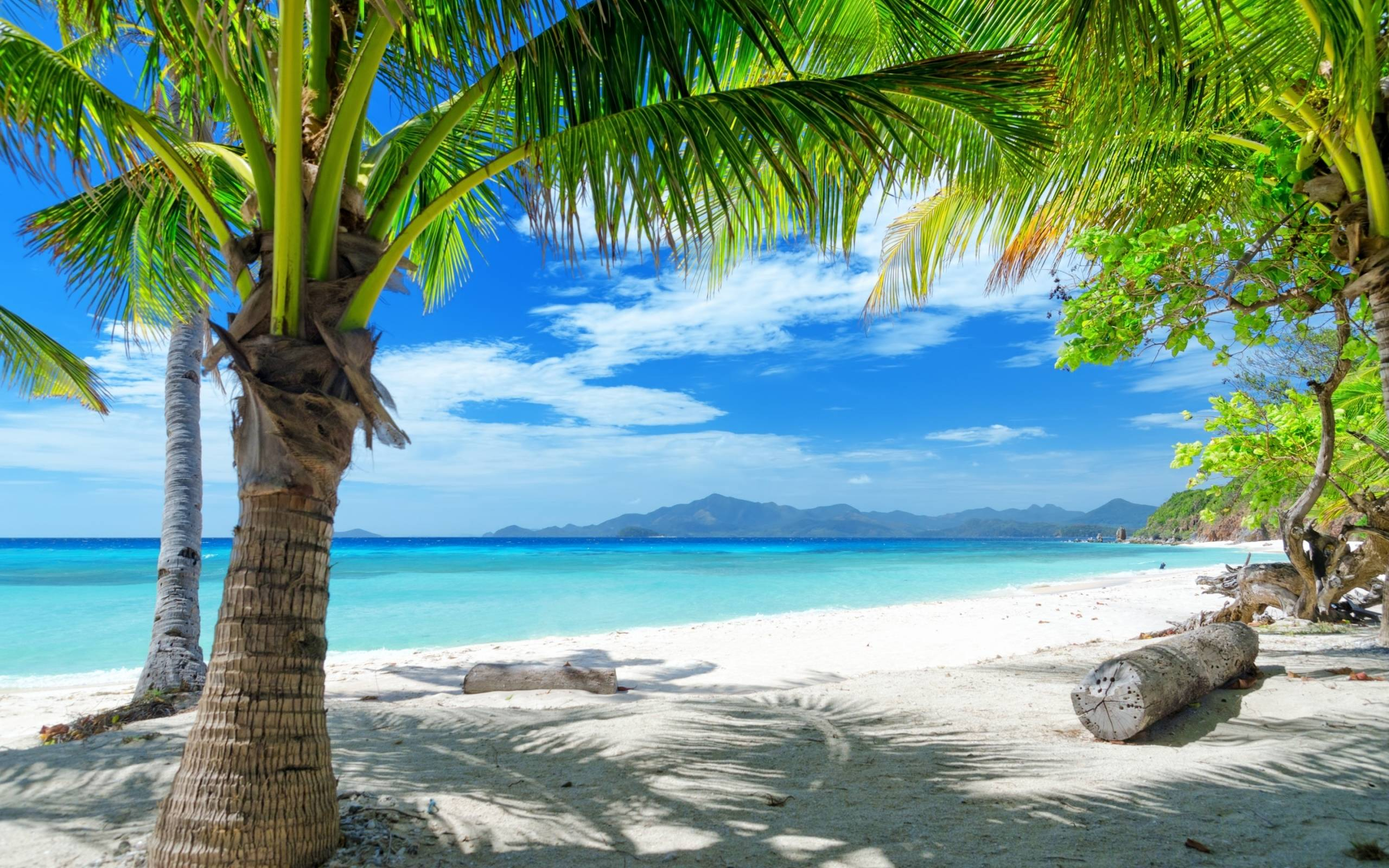 2560x1600 Ocean Beach Desktop Wallpapers Top Free Ocean Beach Desktop Backgrounds