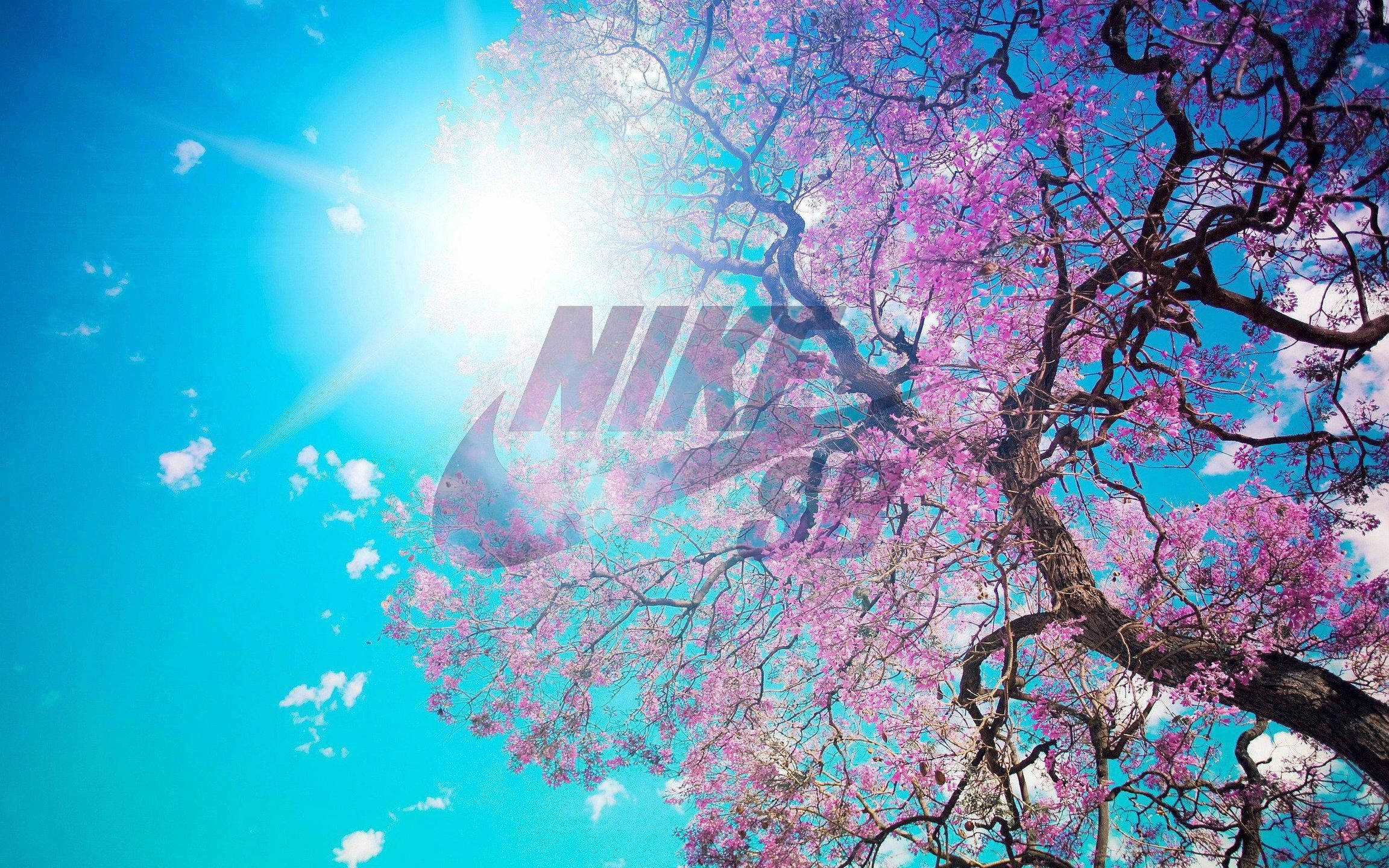 2304x1440 Download Nike Girl Cherry Blossom Tree Poster Wallpaper