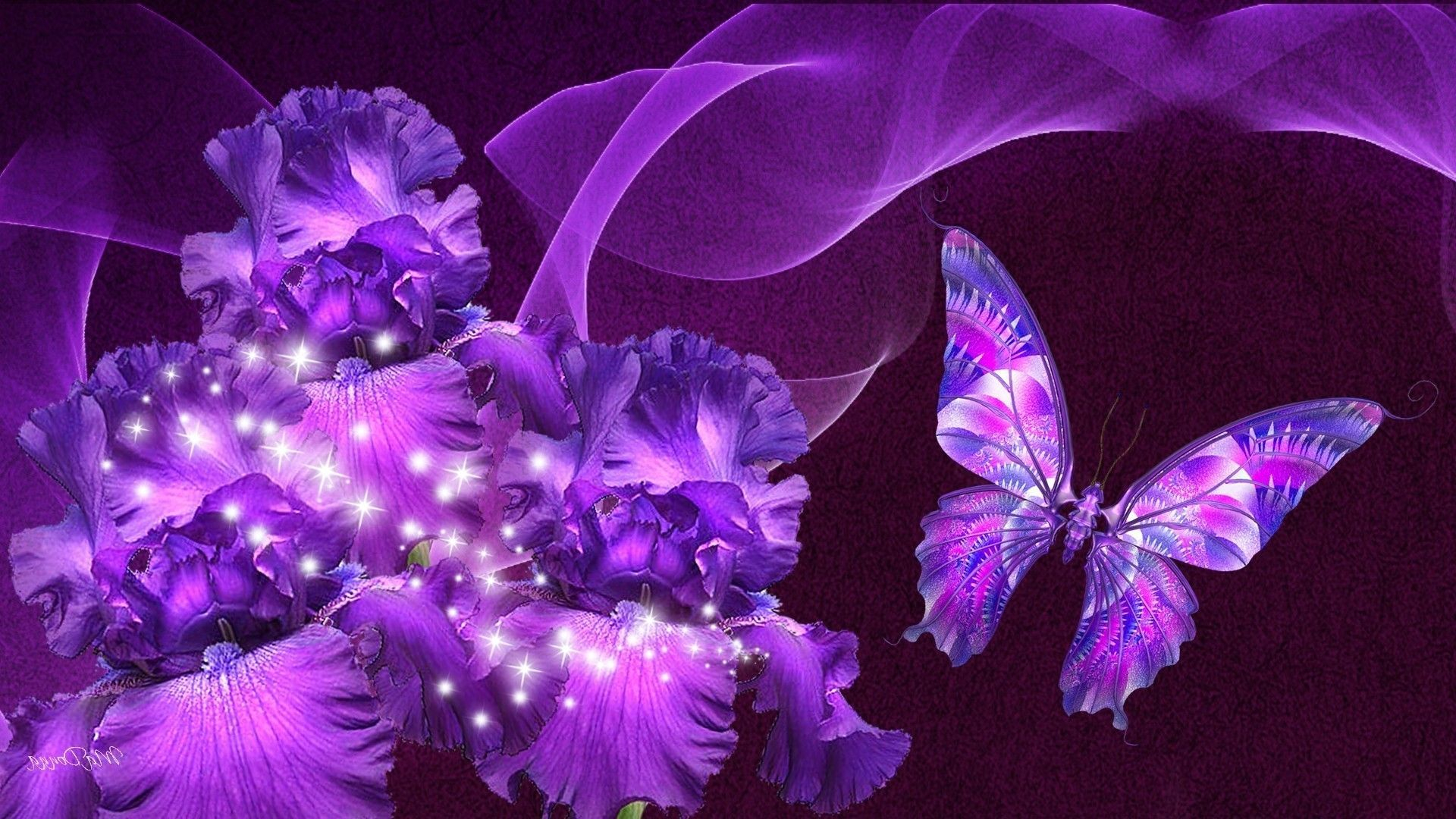 1920x1080 Black and Purple Butterflies Wallpapers